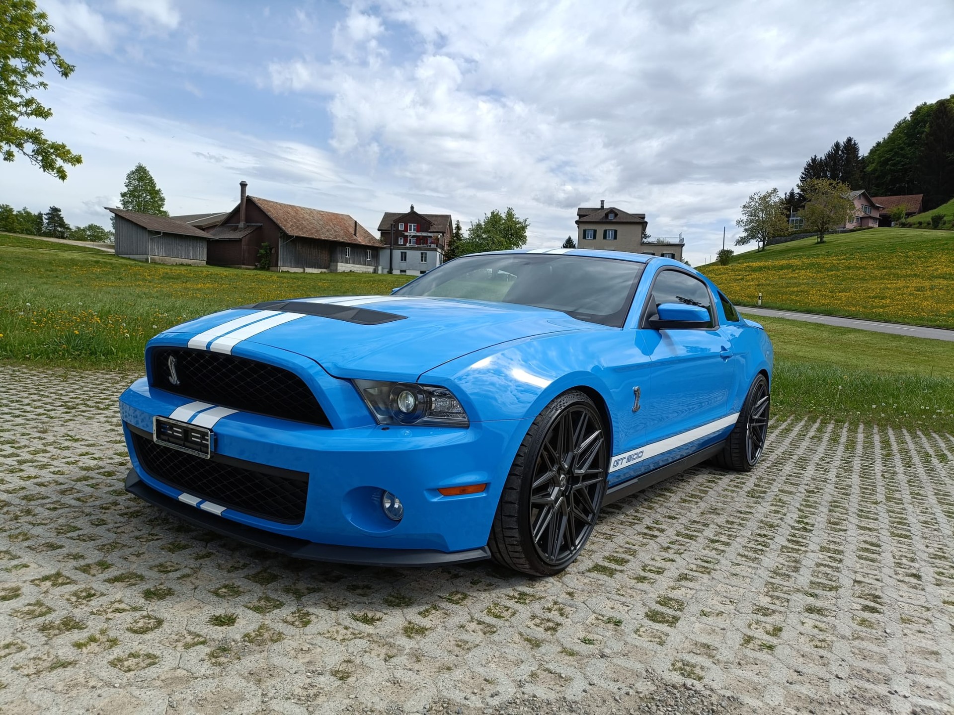 FORD Shelby GT 500-image-7
