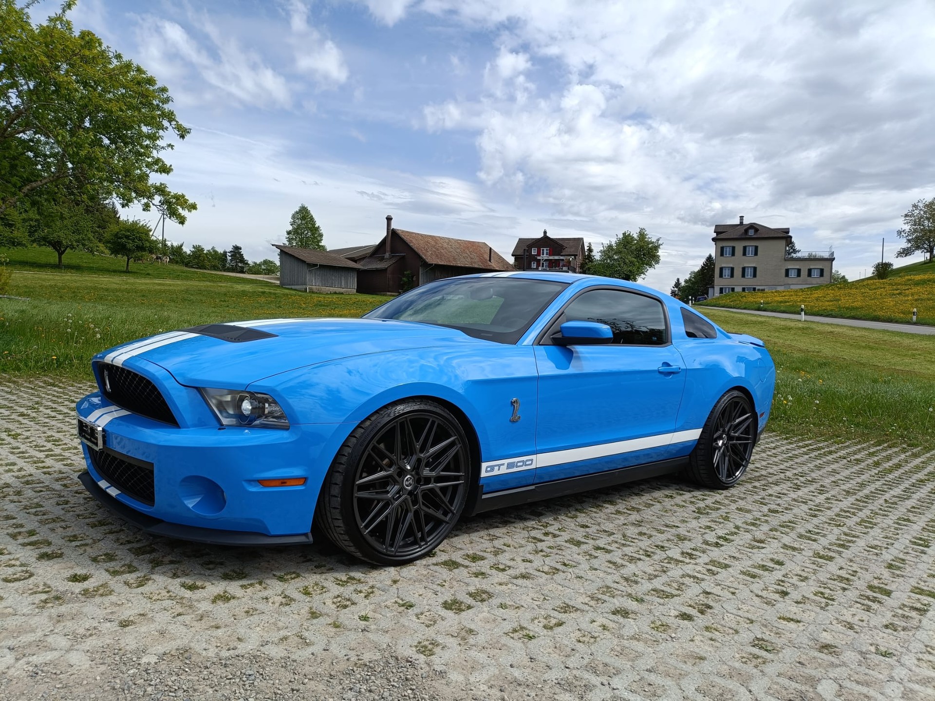 FORD Shelby GT 500-image-8