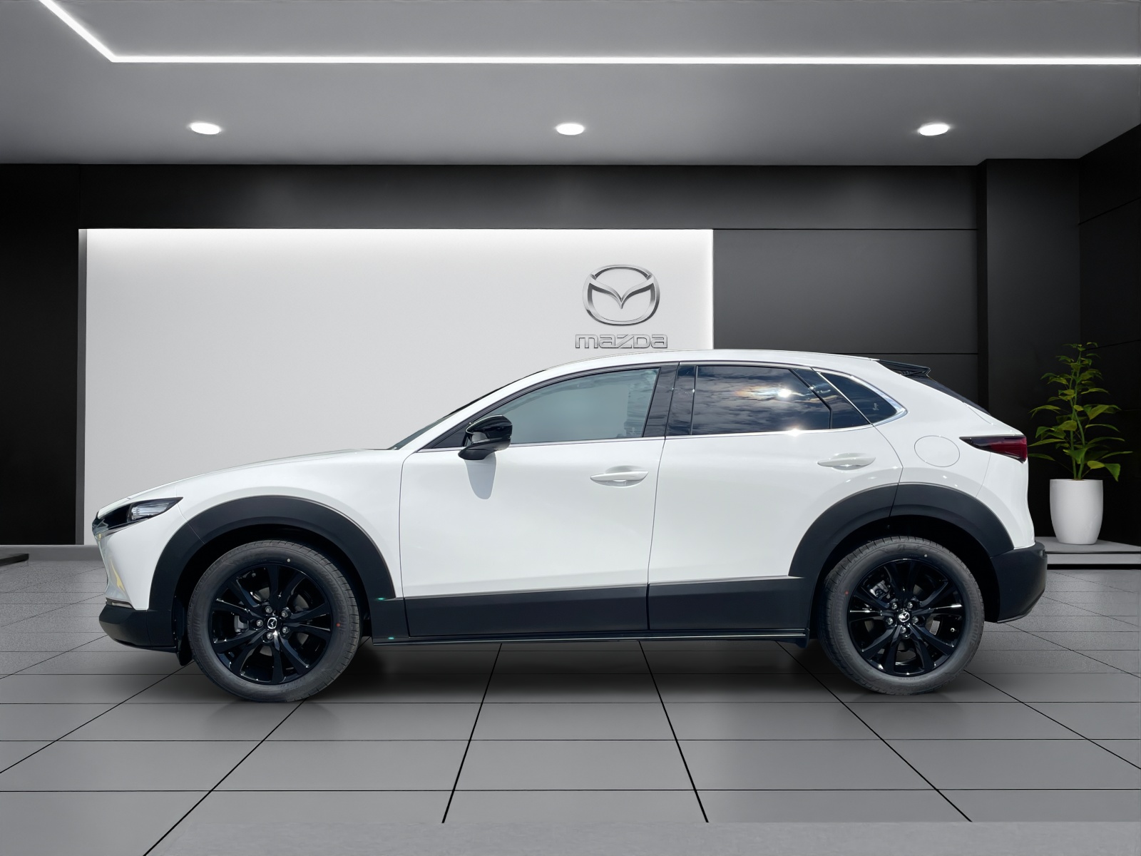 MAZDA CX-30 SKYACTIV-X 186 M Hybrid Homura AWD AT-showroom-element-2