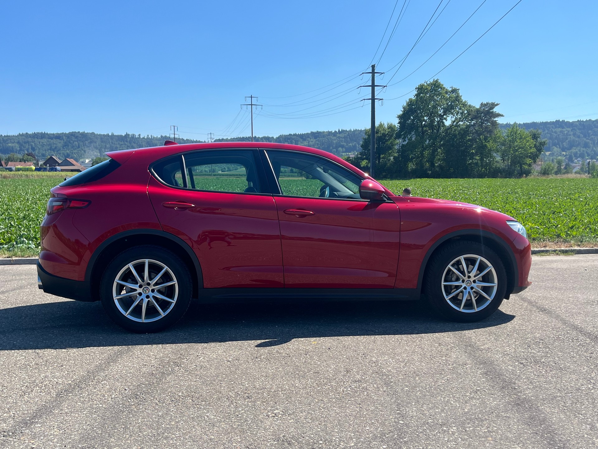 ALFA ROMEO Stelvio 2.2 JTDM Executive Q4 Automatic-image-6