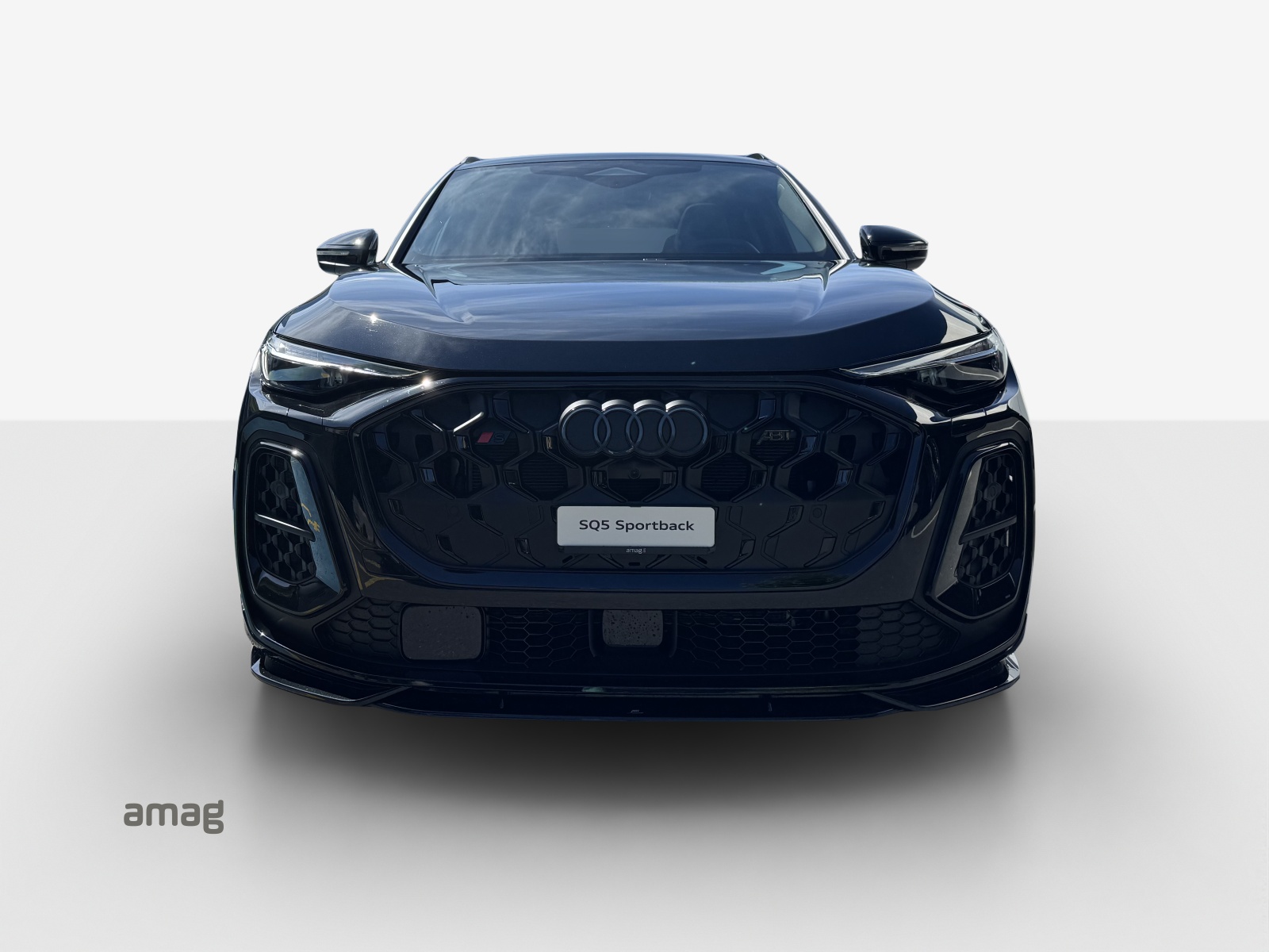 AUDI SQ5-image-6