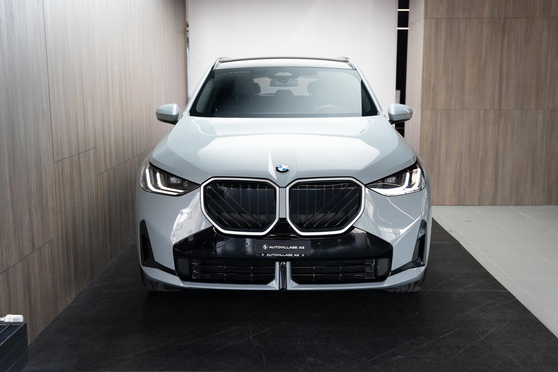 BMW X3 xDrive 48V 20d M Sport-image-28
