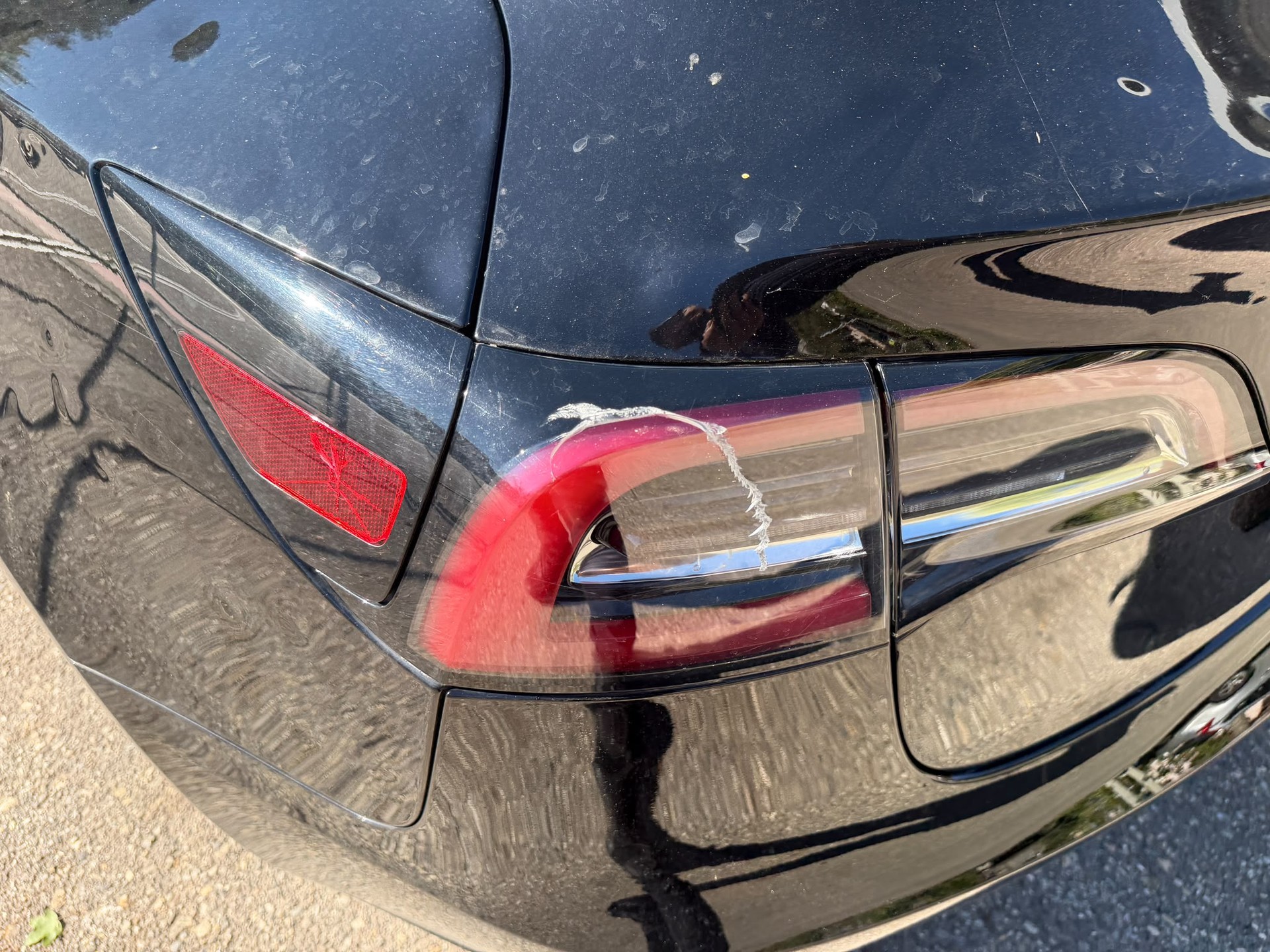 TESLA Model 3 Long Range Dual Motor AWD-image-13