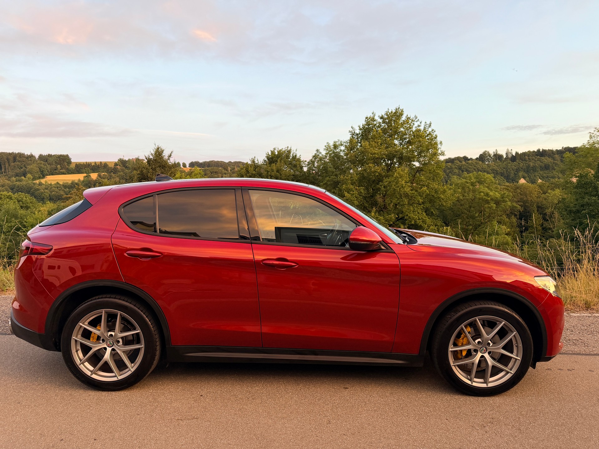 ALFA ROMEO Stelvio 2.2 JTDM Super Q4 Automatic-image-1