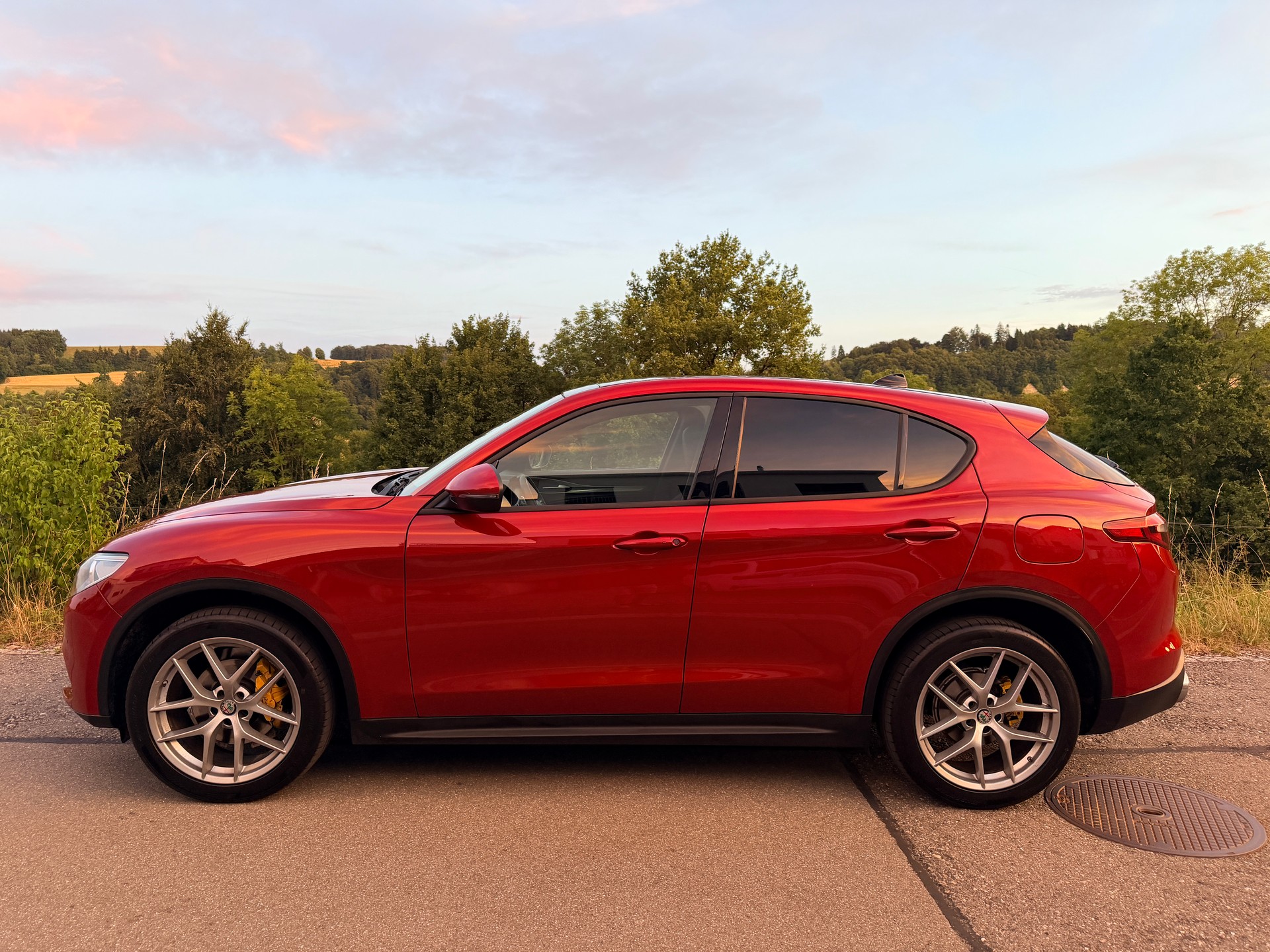 ALFA ROMEO Stelvio 2.2 JTDM Super Q4 Automatic-image-6