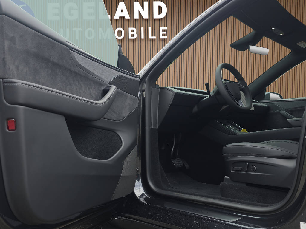 TESLA Model Y Long Range Premium AWD-image-10