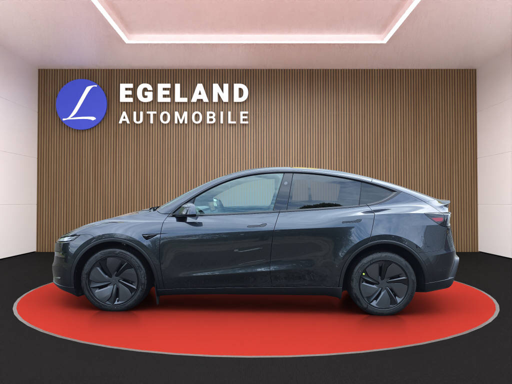 TESLA Model Y Long Range Premium AWD-image-6