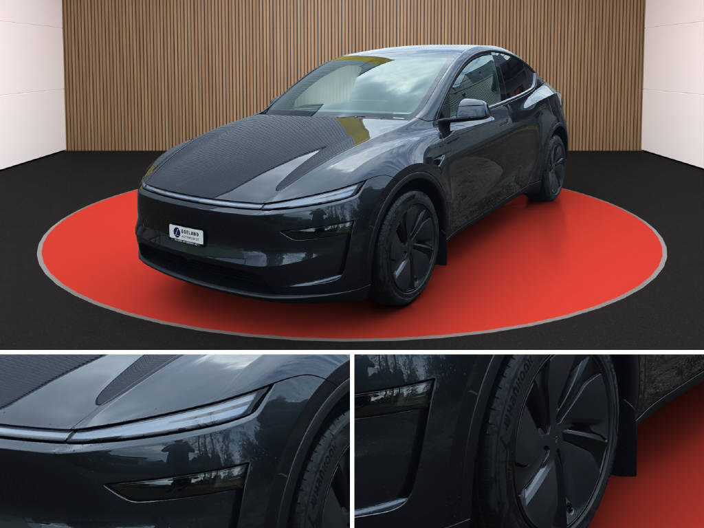 TESLA Model Y Long Range Premium AWD-image-9