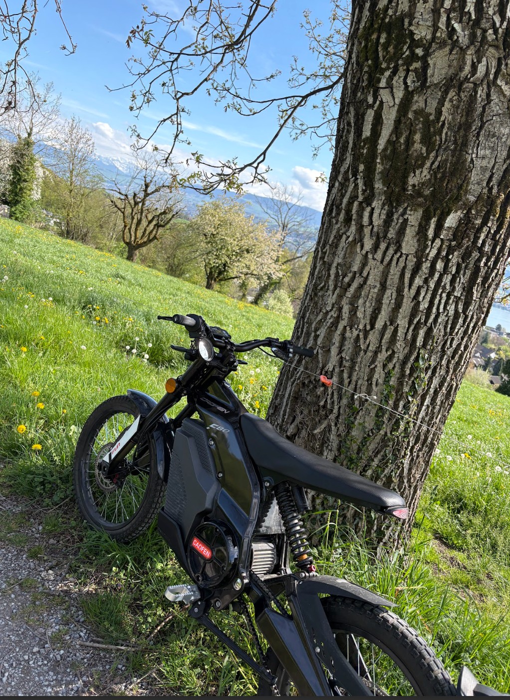 CAOFEN L3e (A1 ab 16 Jahren fahren)-image-1