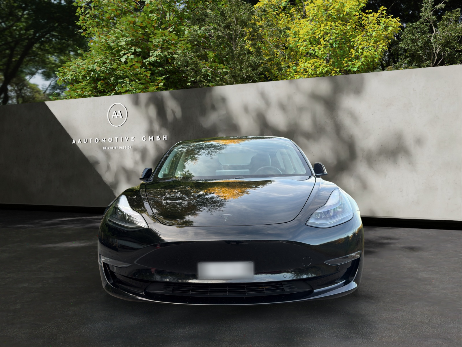 TESLA Model 3 Performance Dual Motor AWD-image-1