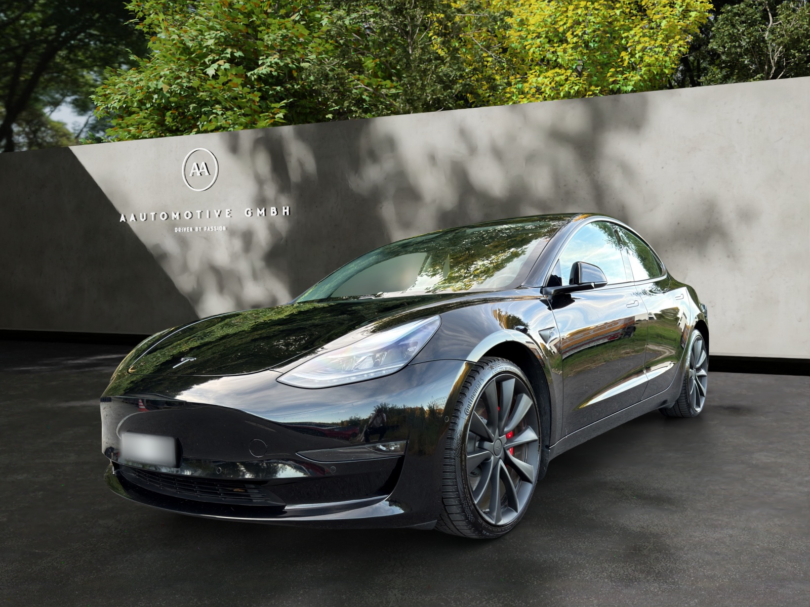 TESLA Model 3 Performance Dual Motor AWD-image-0