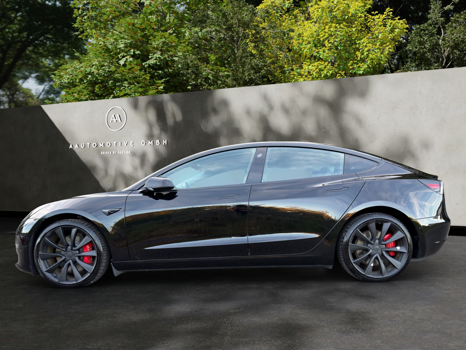 TESLA Model 3 Performance Dual Motor AWD-image-2