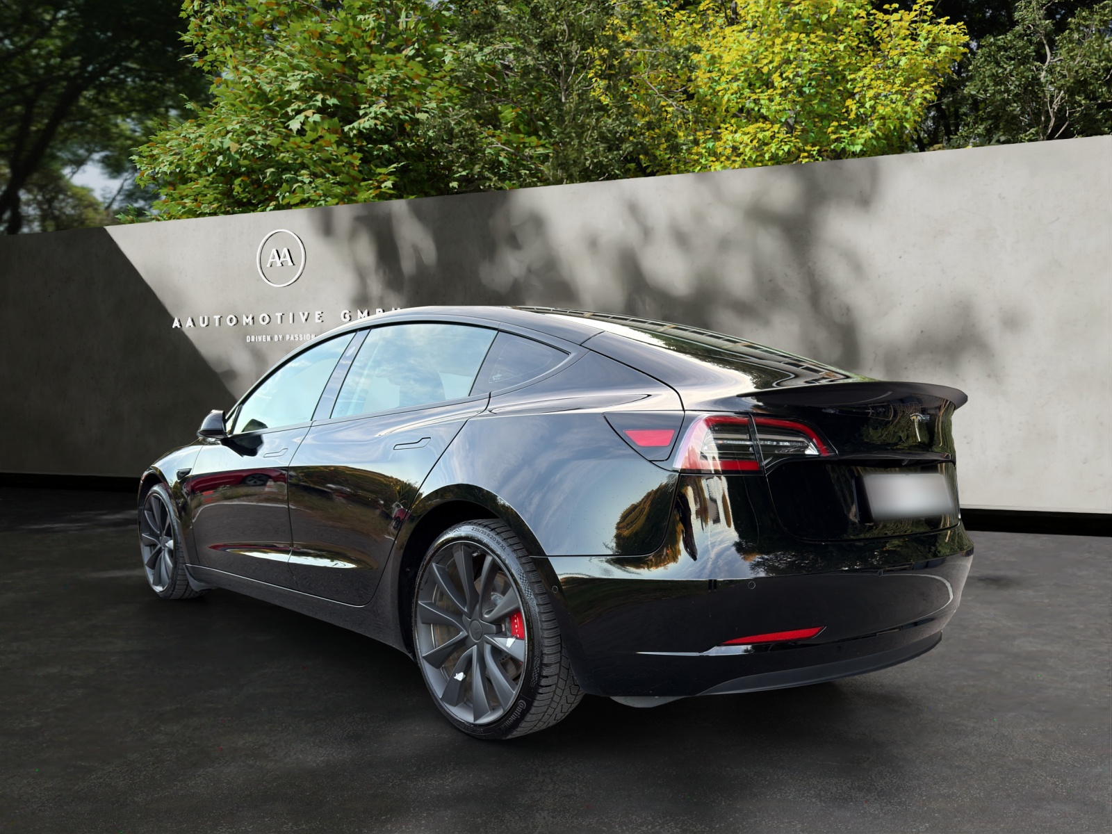 TESLA Model 3 Performance Dual Motor AWD-image-3
