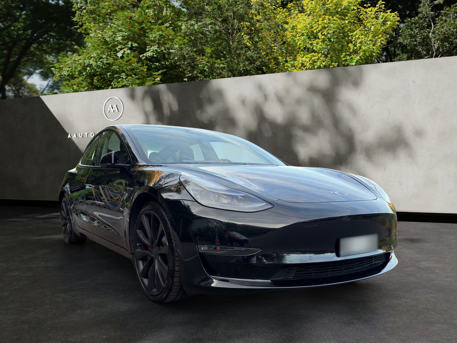 TESLA Model 3 Performance Dual Motor AWD-image-7