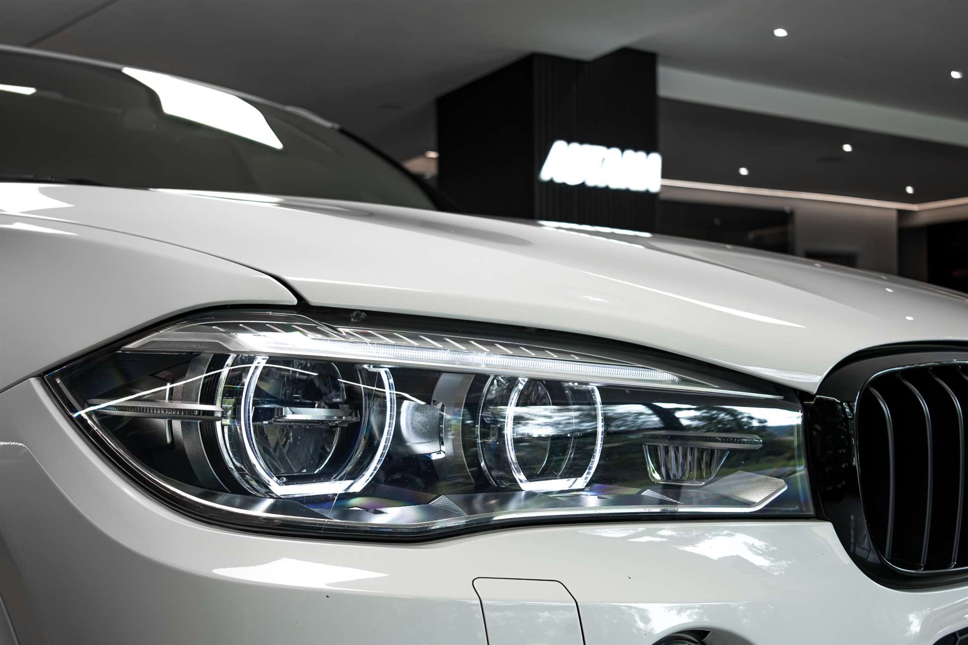 BMW X5 xDrive 40d Steptronic-image-30