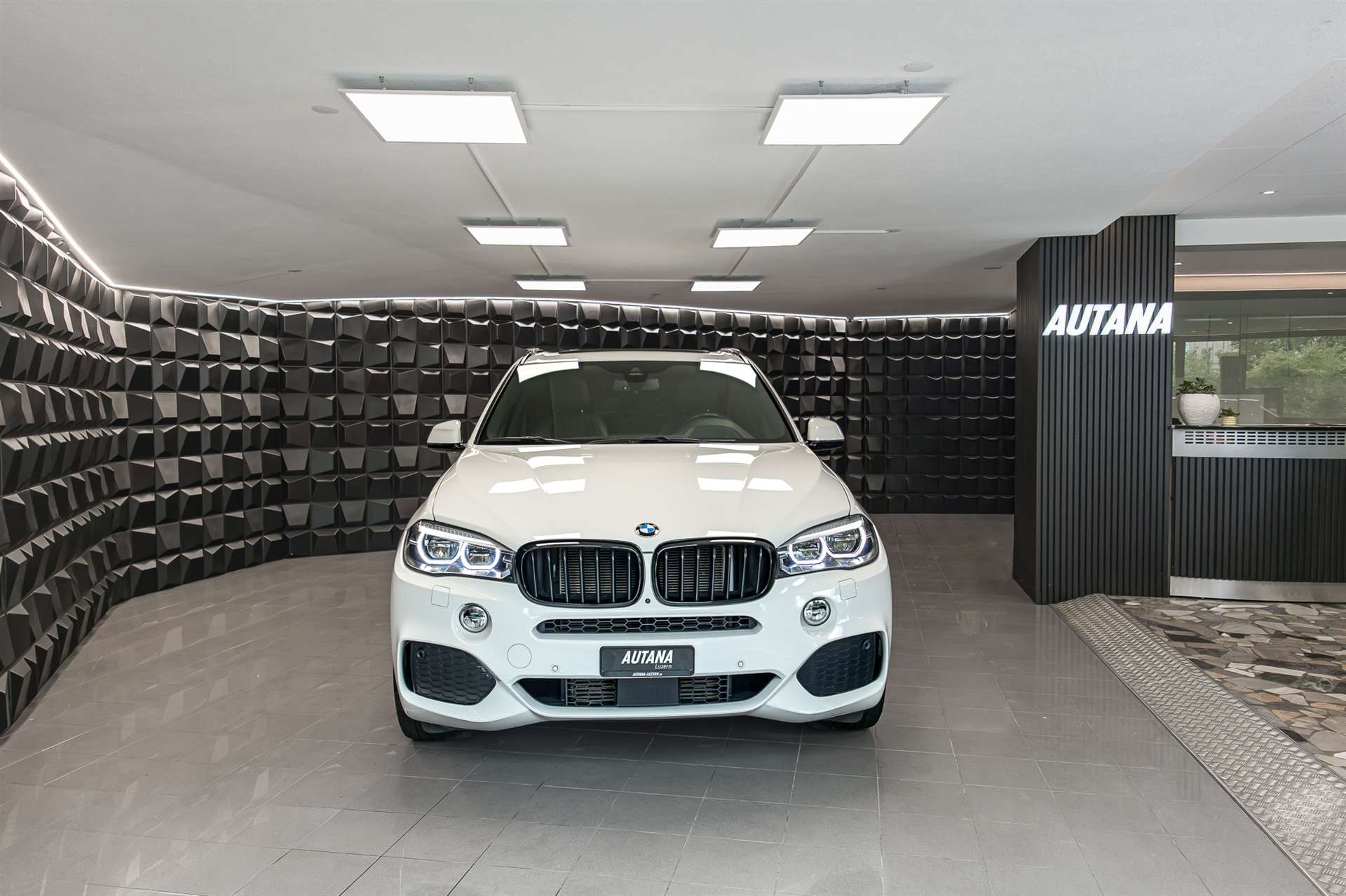 BMW X5 xDrive 40d Steptronic-showroom-element-3
