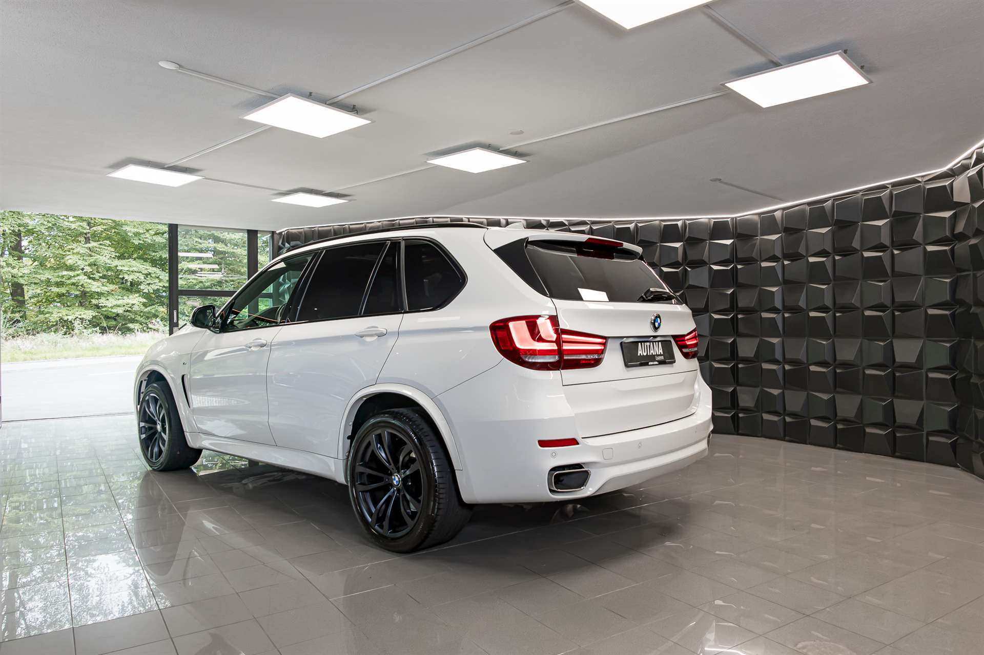 BMW X5 xDrive 40d Steptronic-showroom-element-2