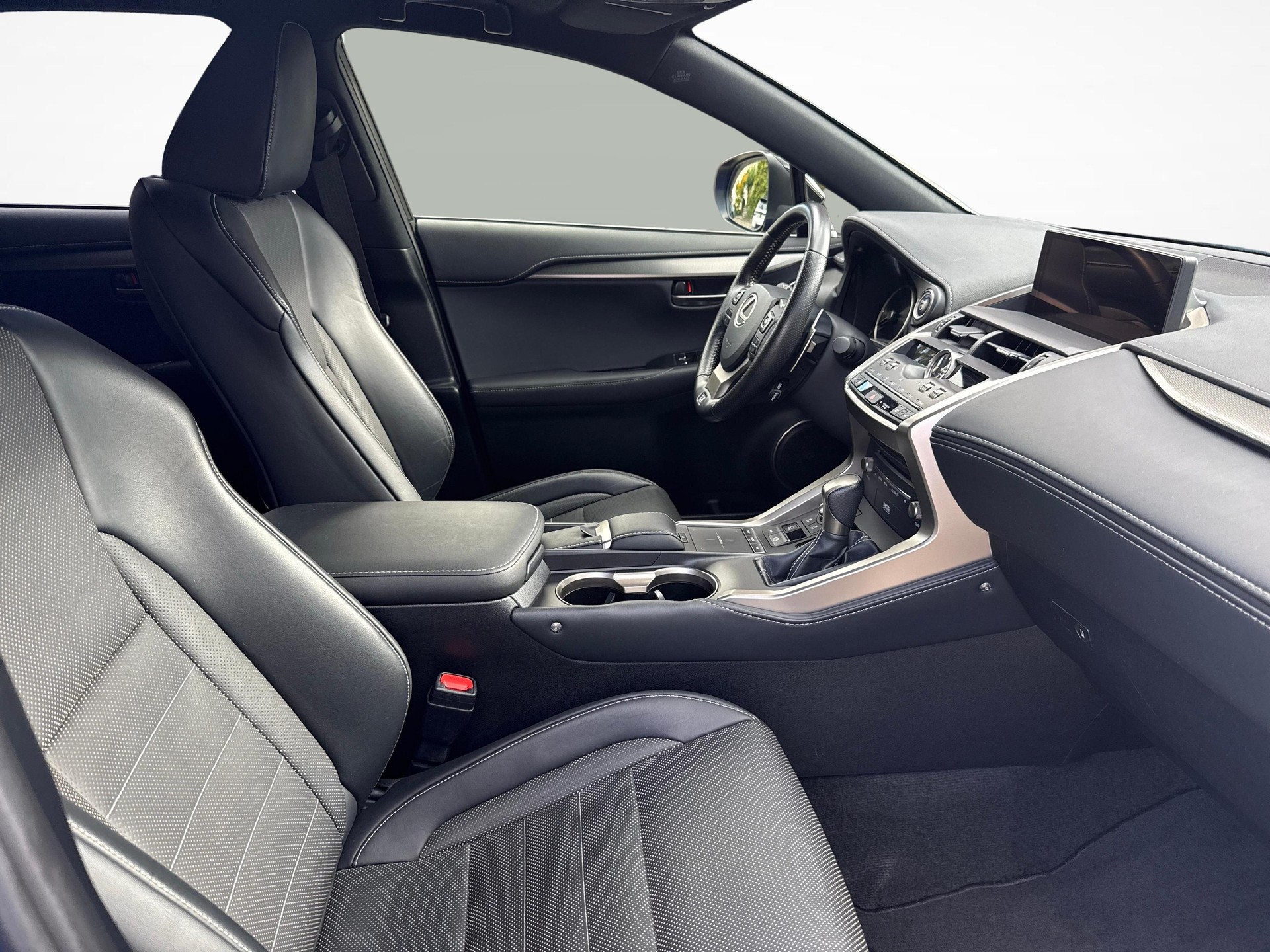 LEXUS NX 300h F-Sport-image-9