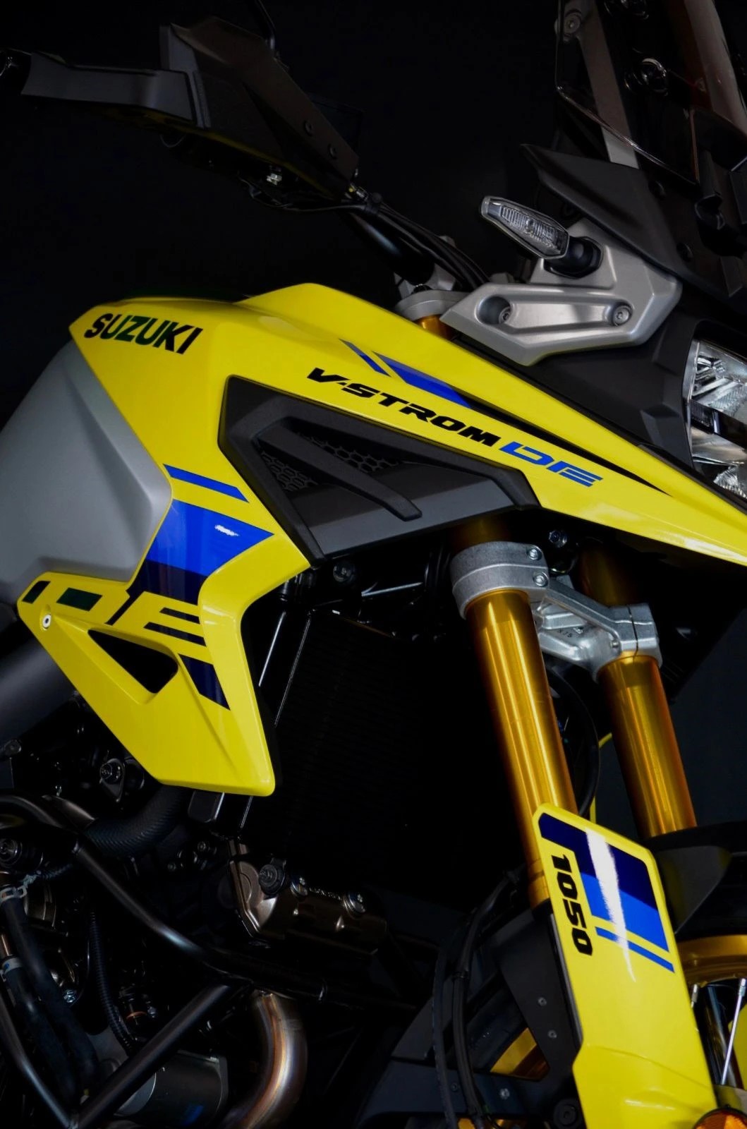 SUZUKI DL 1050 DE-image-10
