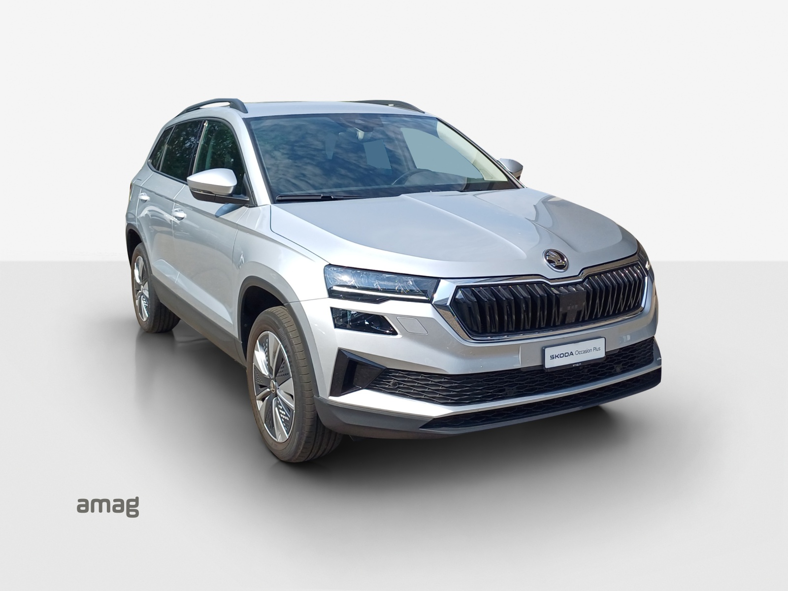 SKODA Karoq 1.5 TSI Ambition DSG-image-5