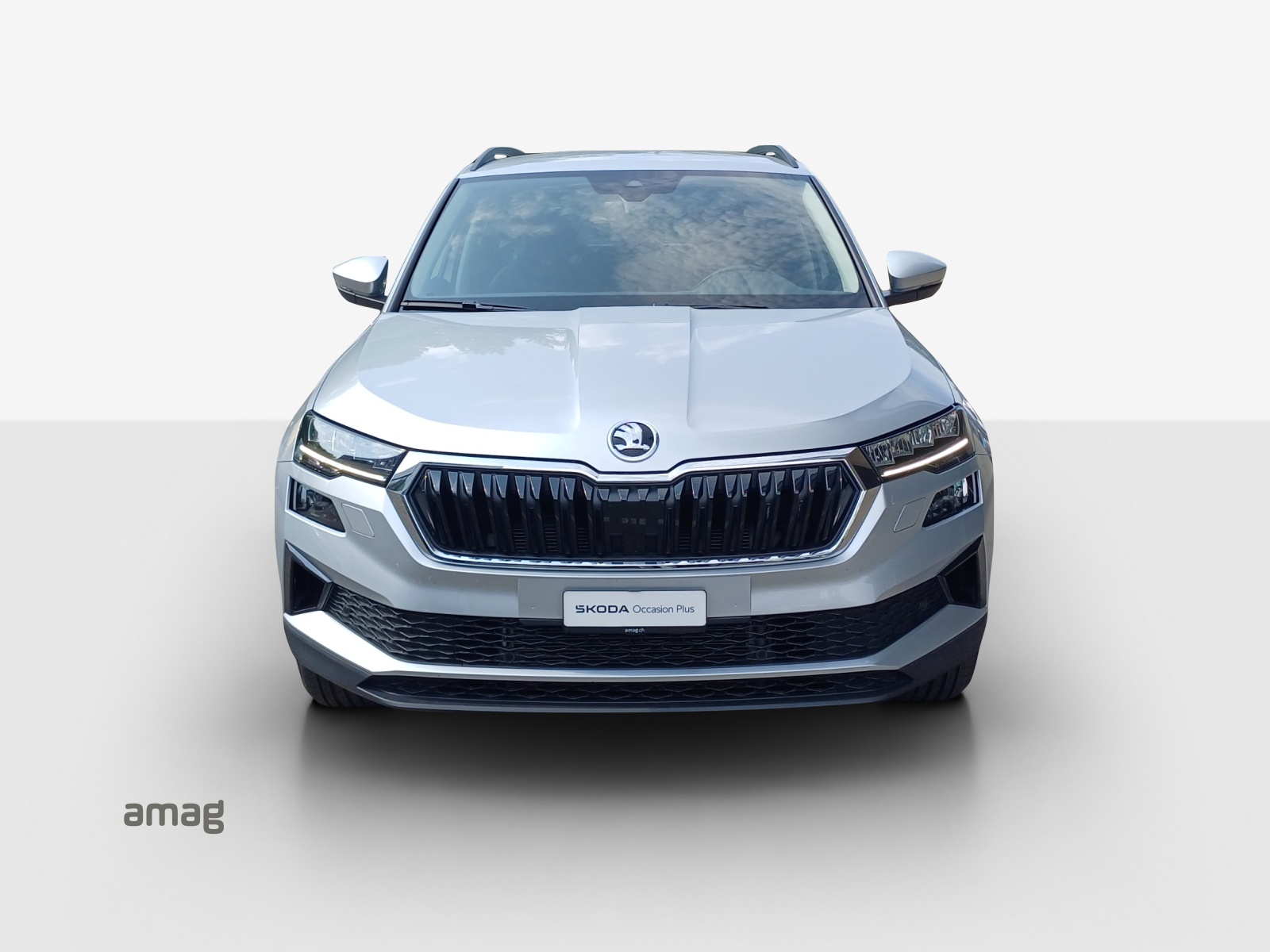 SKODA Karoq 1.5 TSI Ambition DSG-image-6