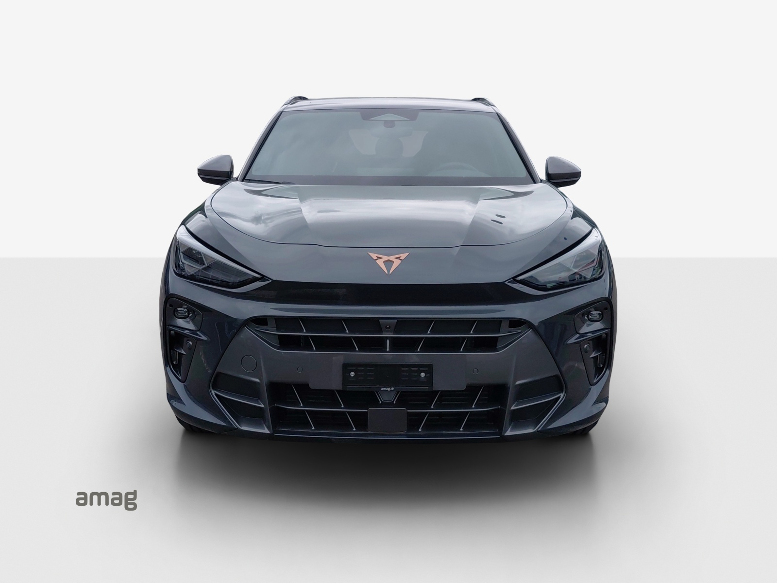 CUPRA Terramar 1.5 eTSI Prime Edition DSG-image-6