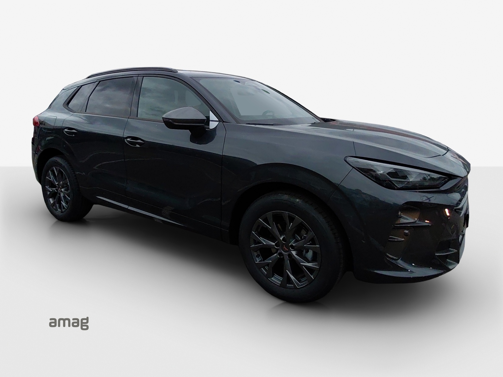 CUPRA Terramar 1.5 eTSI Prime Edition DSG-image-5