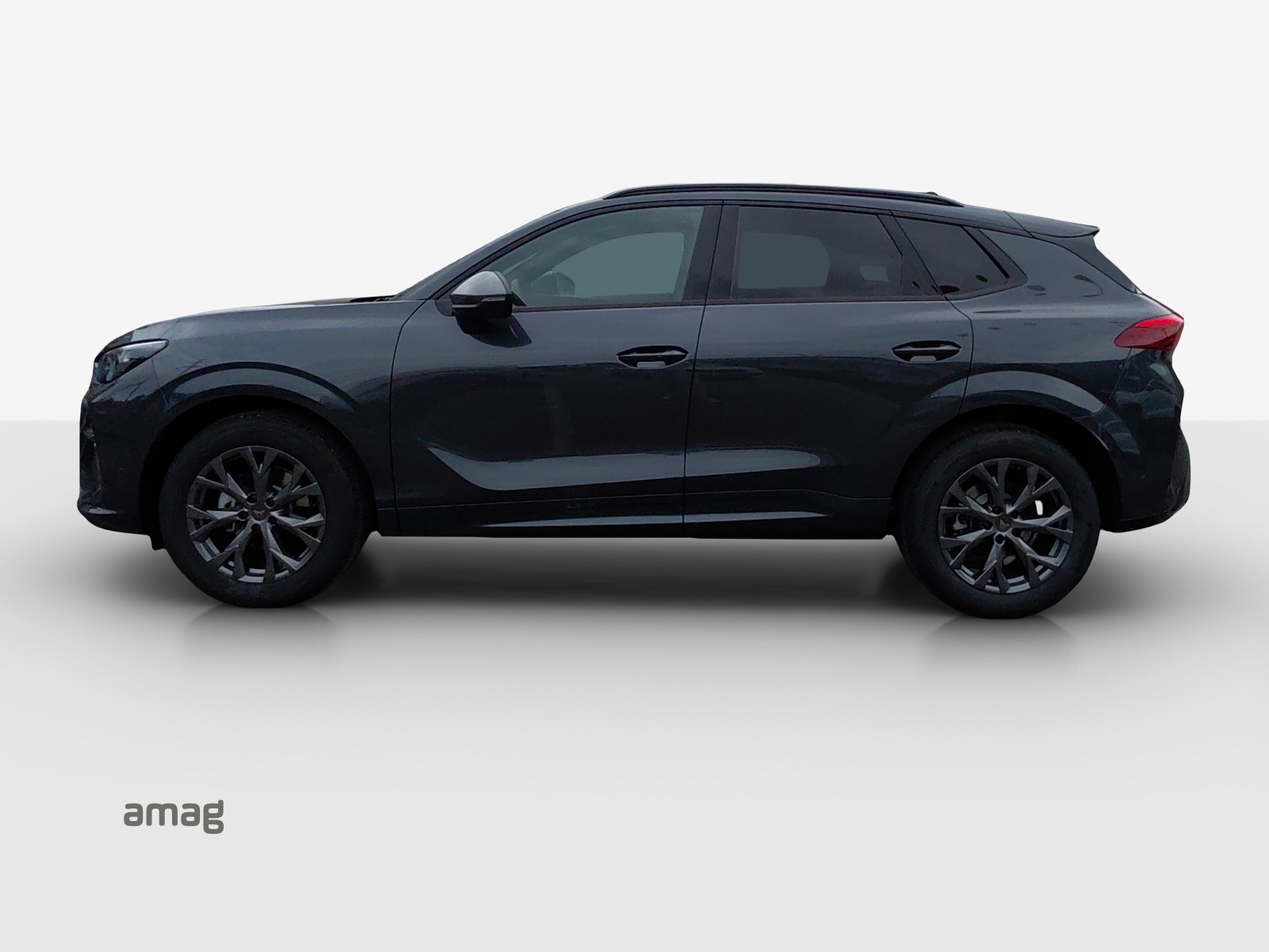 CUPRA Terramar 1.5 eTSI Prime Edition DSG-image-1