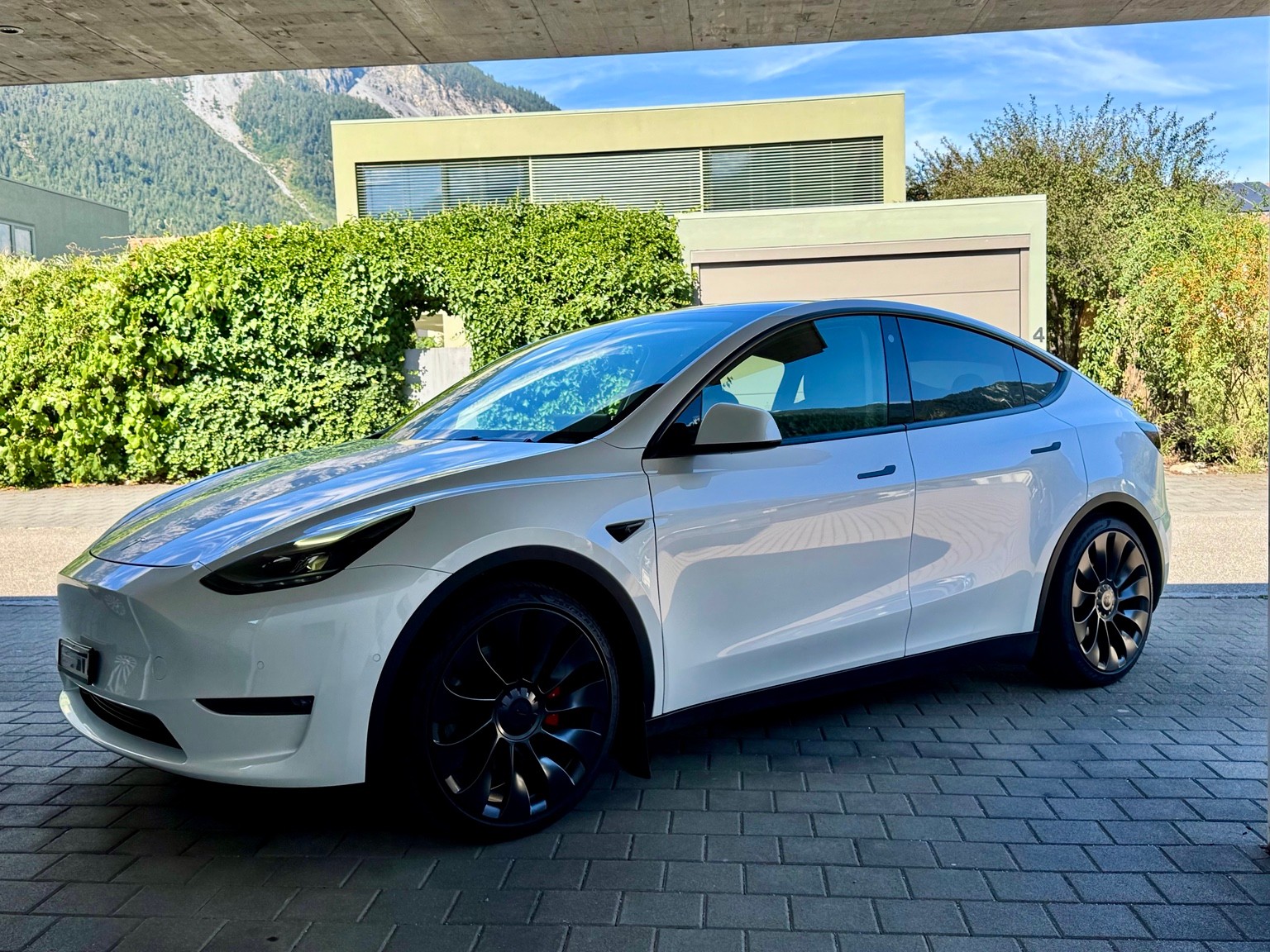 TESLA Performance D-image-0