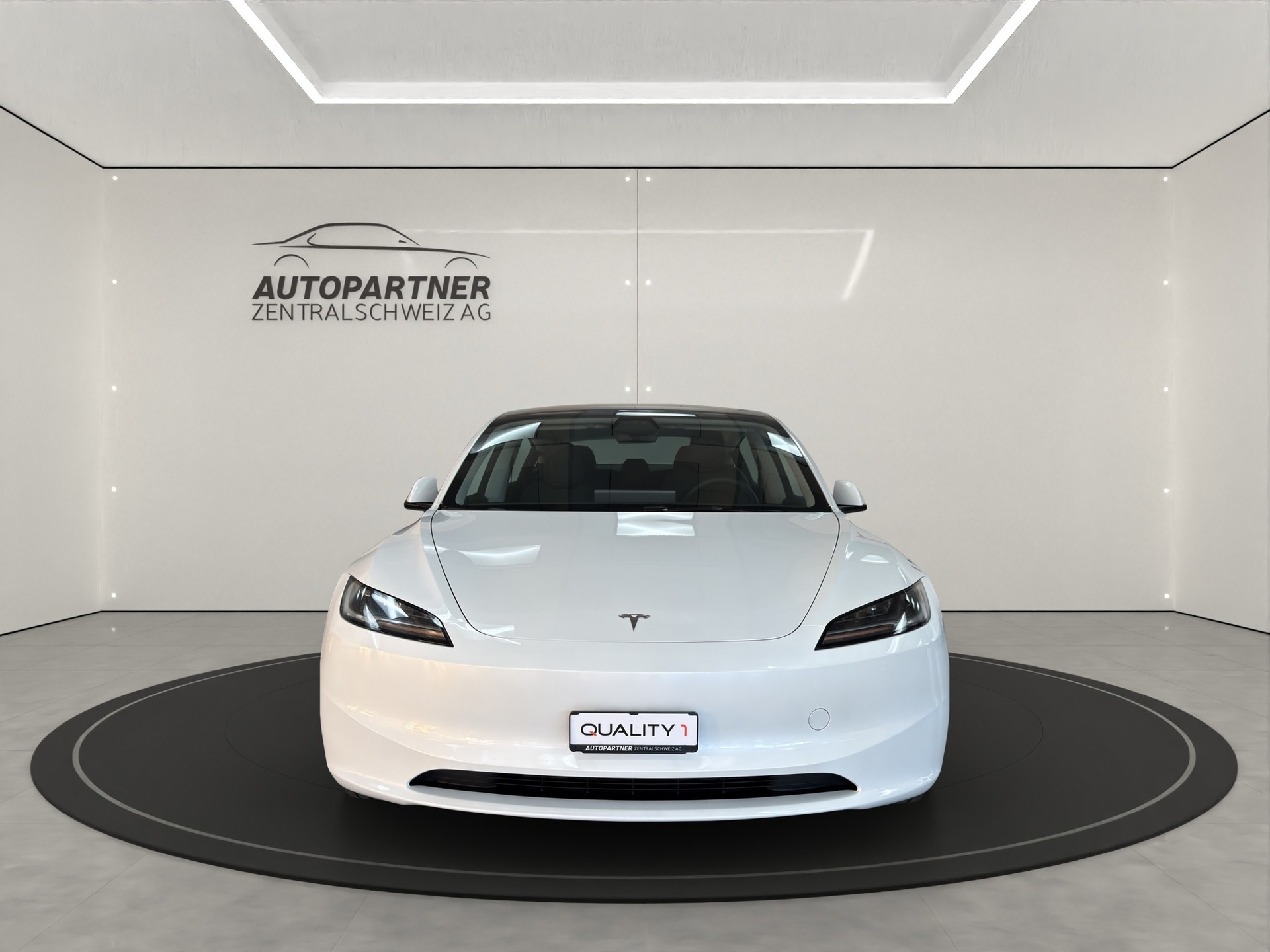 TESLA Model 3 Long Range Dual Motor AWD-image-3