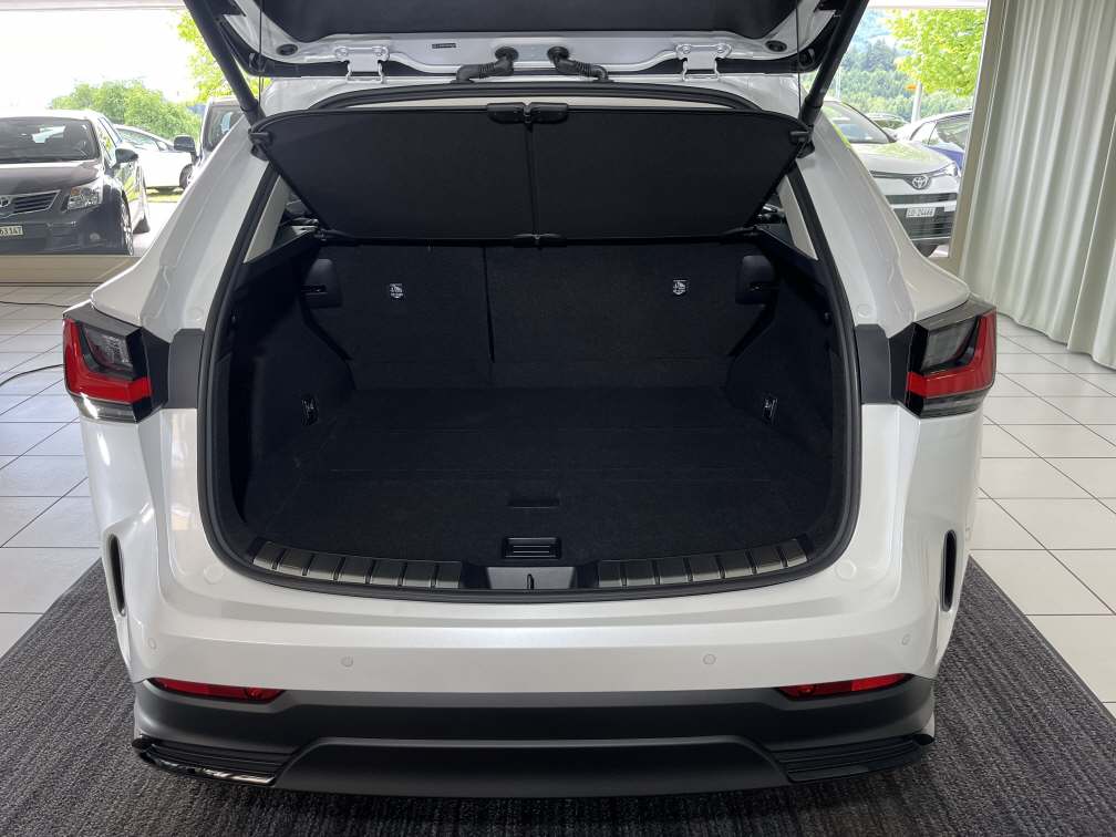 LEXUS NX 350h Comfort-image-12