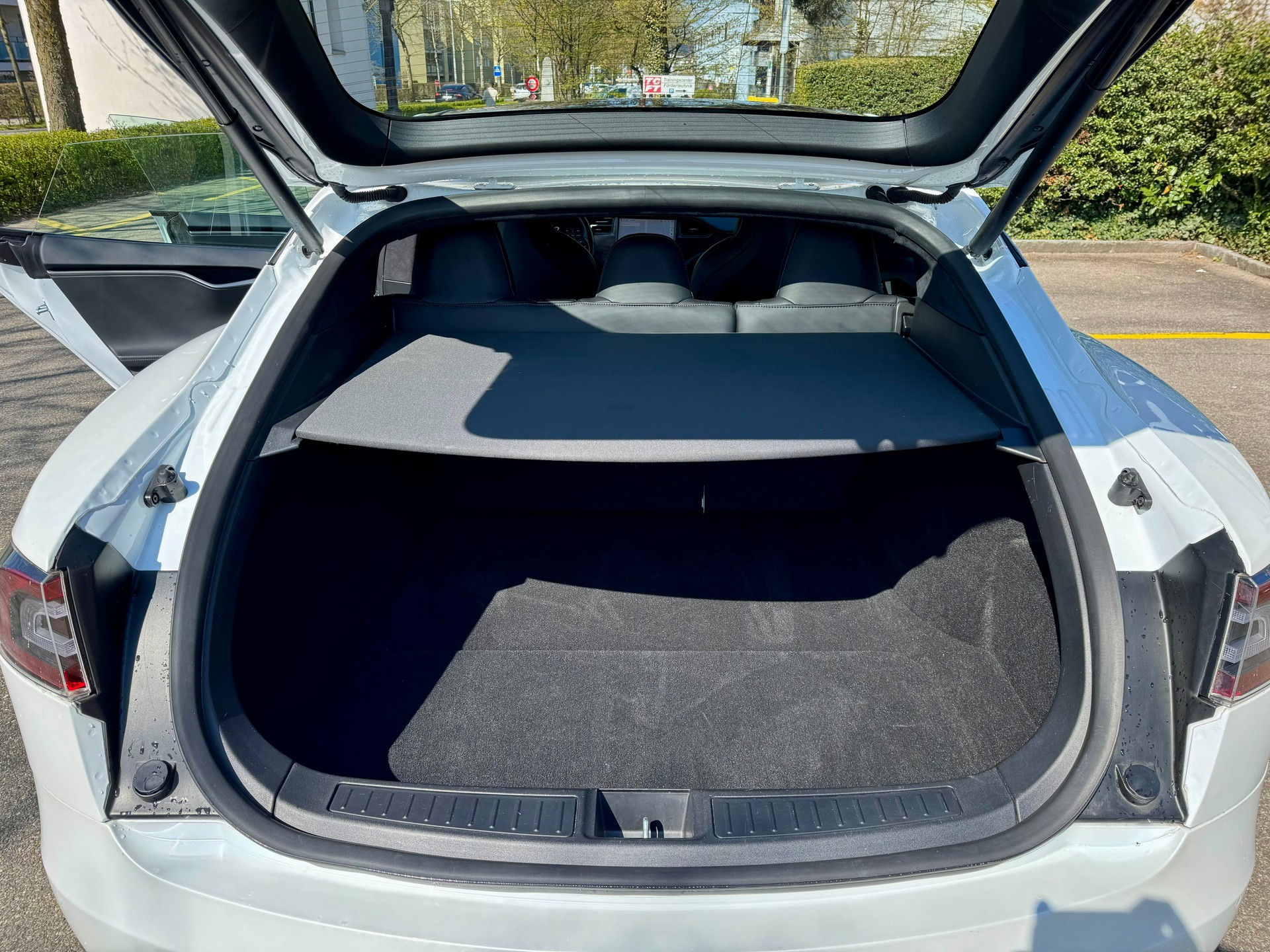 TESLA Model S 100 D Performance-image-14