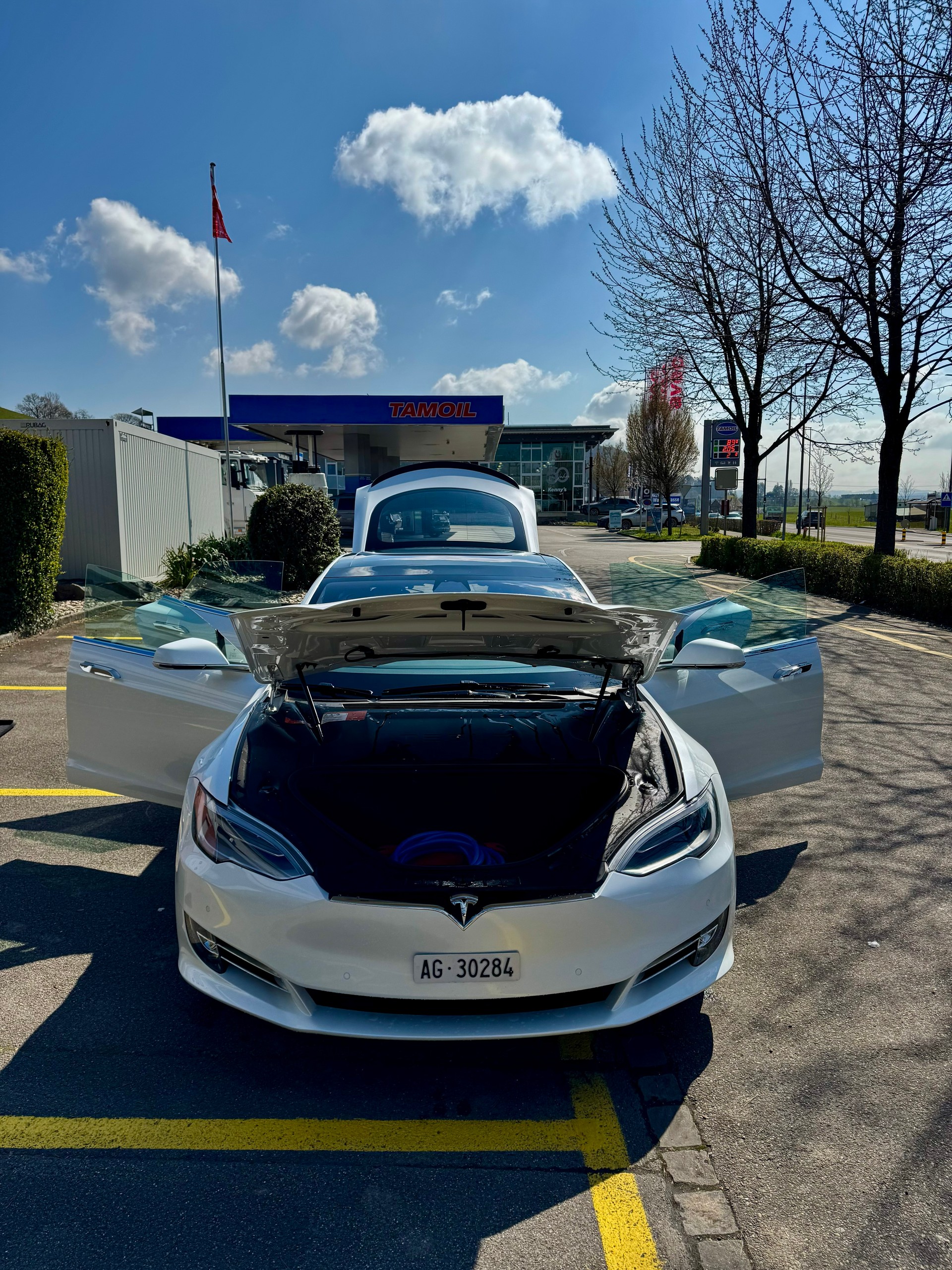 TESLA Model S 100 D Performance-image-13