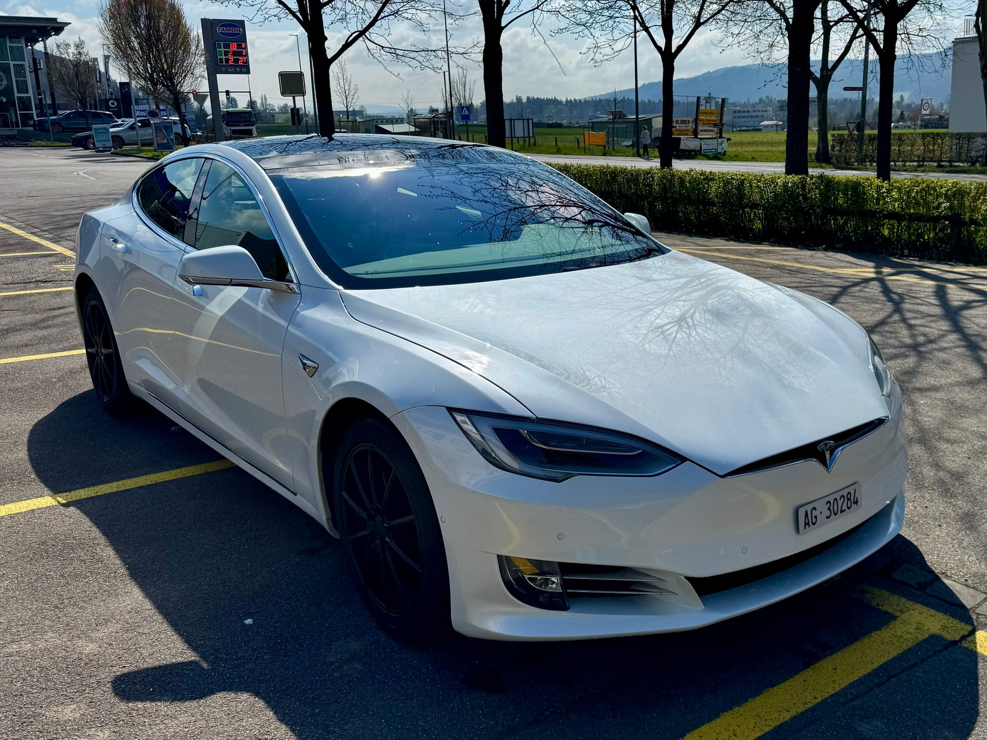 TESLA Model S 100 D Performance-image-0