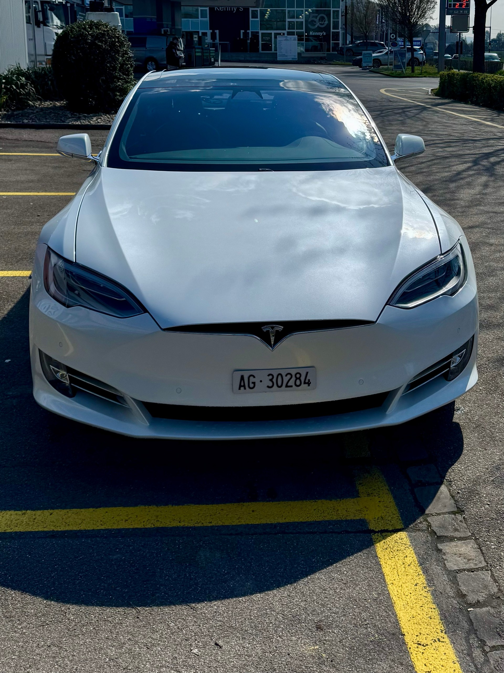 TESLA Model S 100 D Performance-image-9