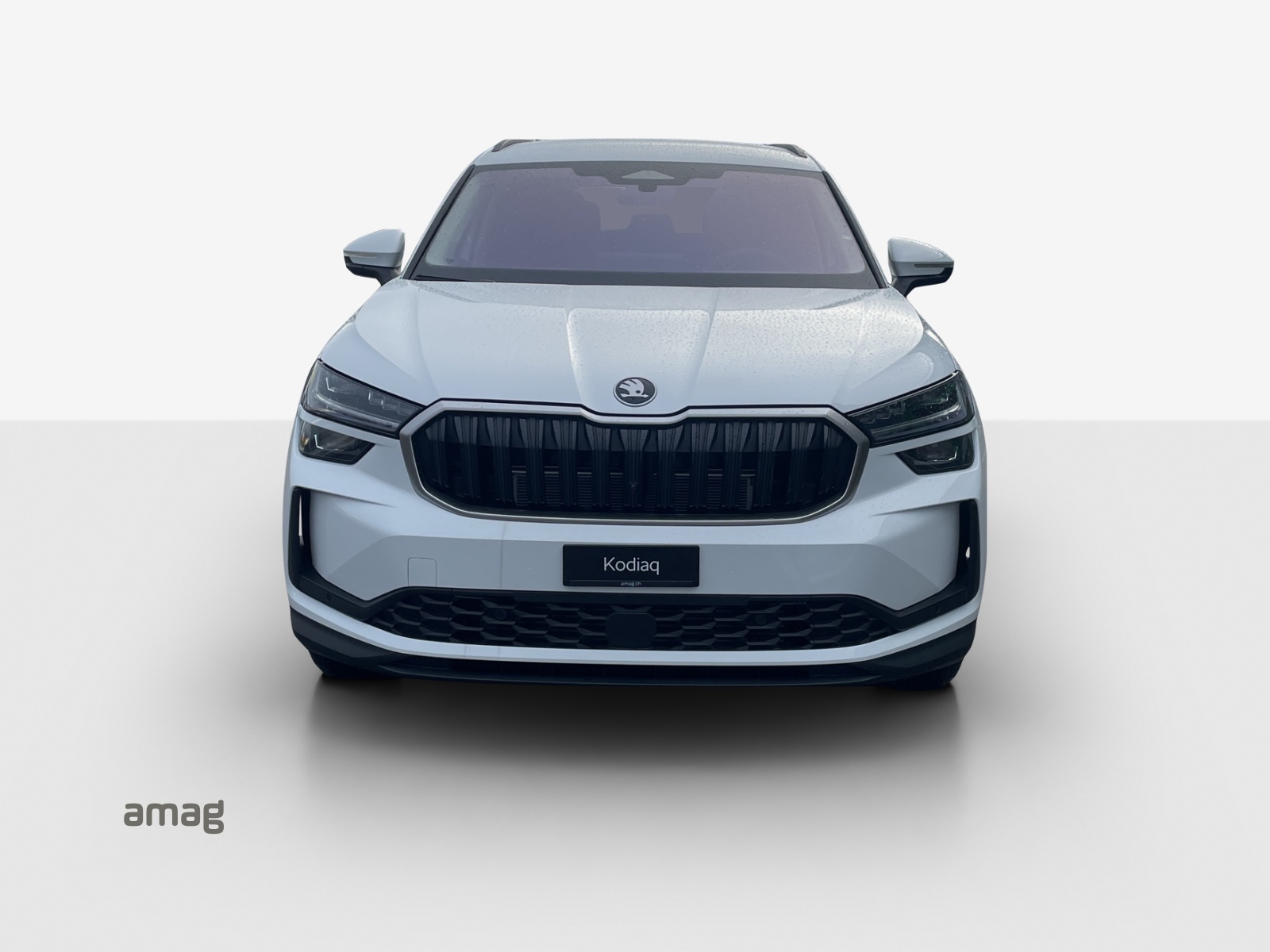 SKODA Kodiaq 2.0 TSI Selection 4x4-image-6