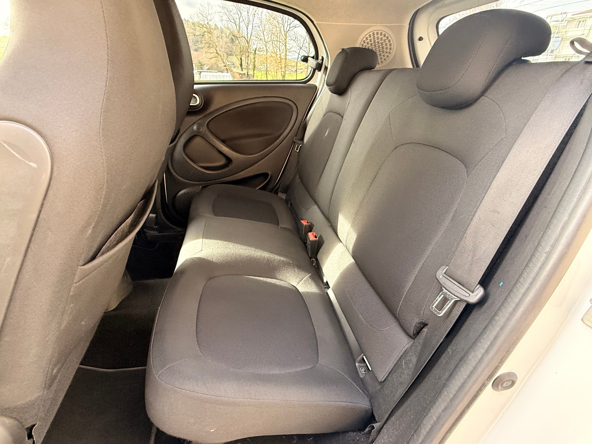 SMART forfour EQ pulse-image-11