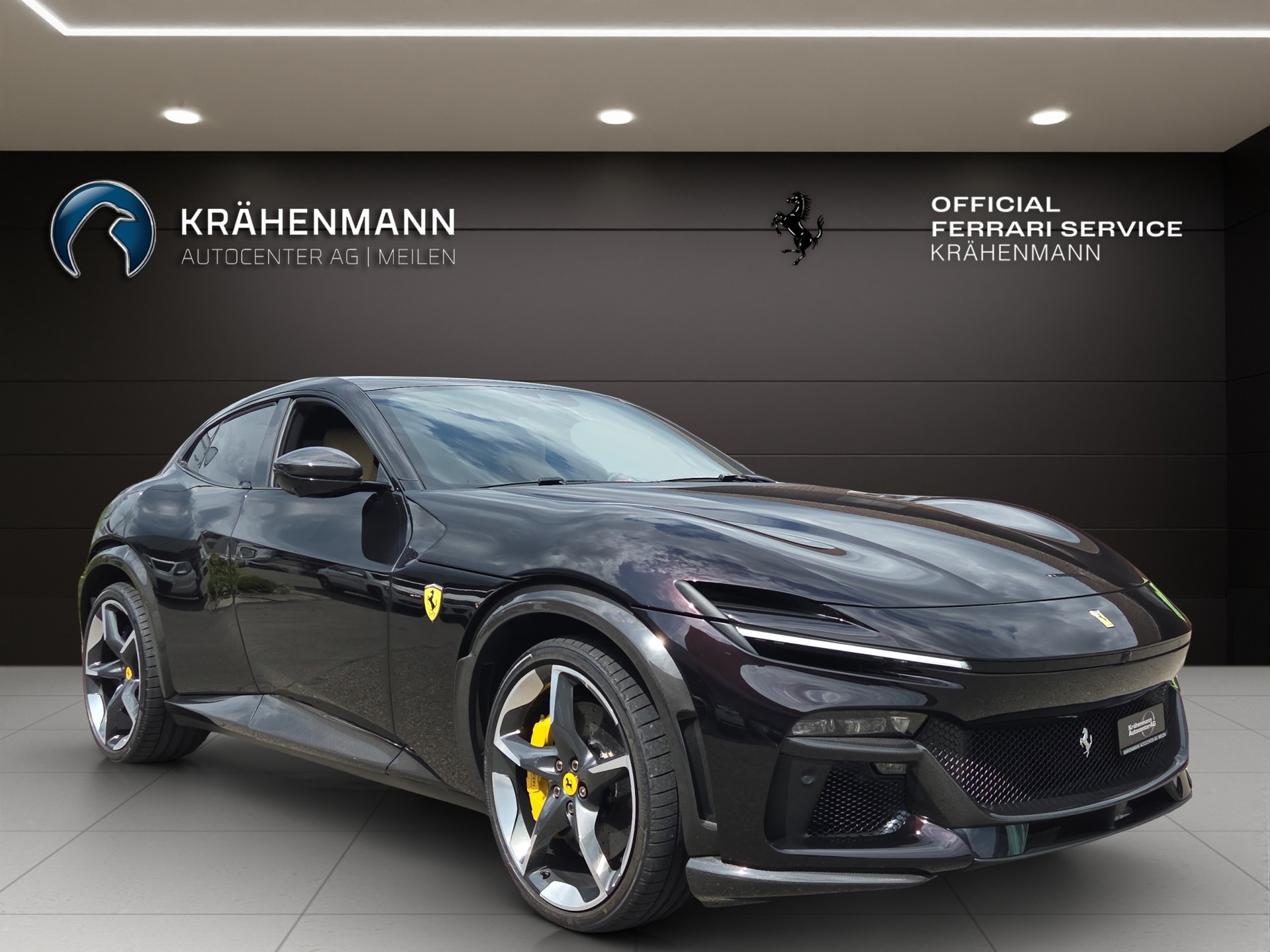 FERRARI PUROSANGUE ~-image-6