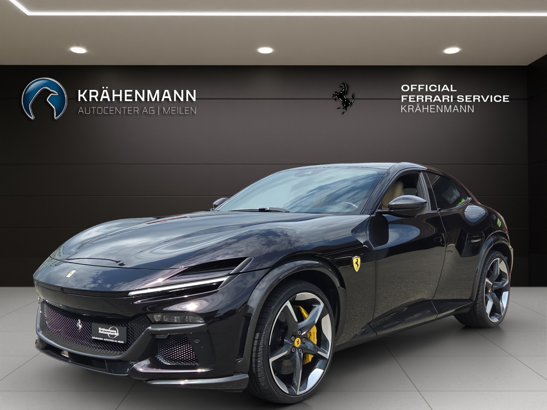 FERRARI PUROSANGUE ~-image-0