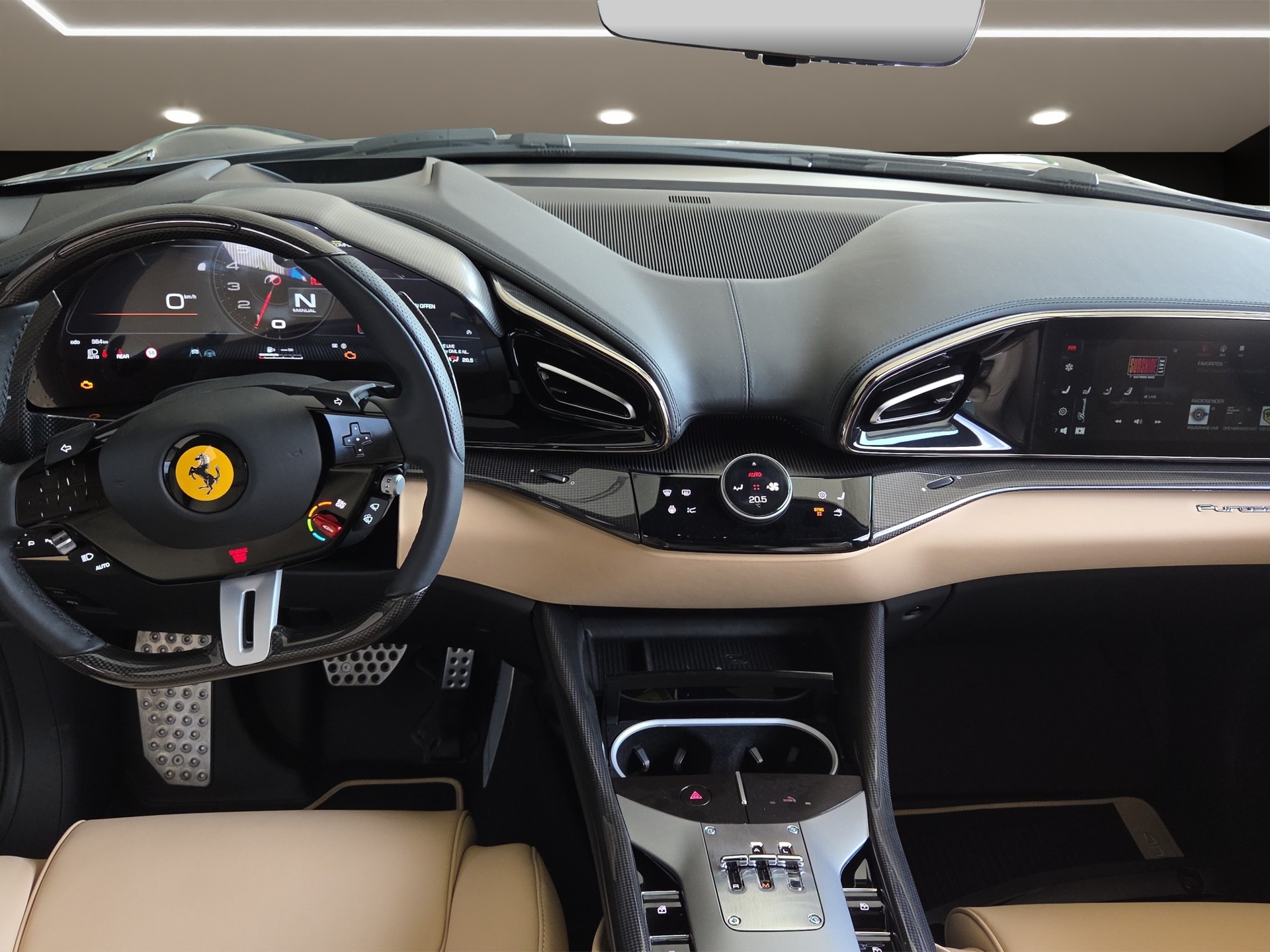 FERRARI PUROSANGUE ~-image-8