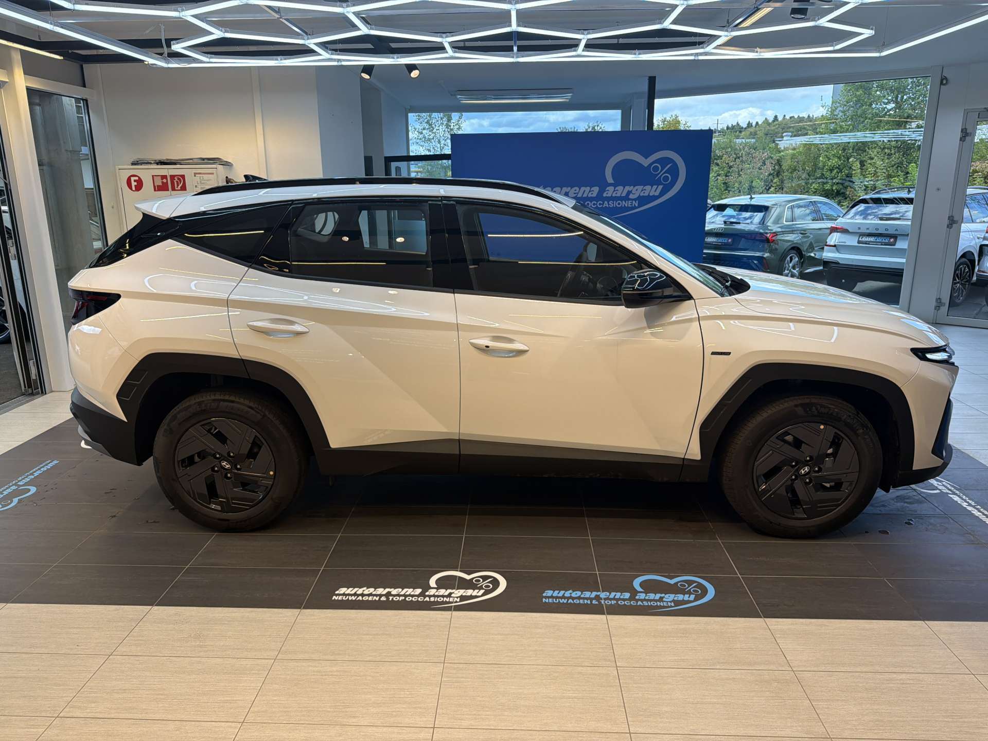 HYUNDAI Tucson 1.6 TGDI HEV Black Line Automat-image-11