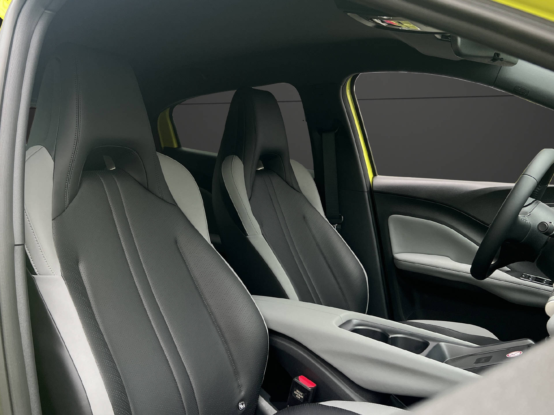 BYD Dolphin Surf Comfort-image-9