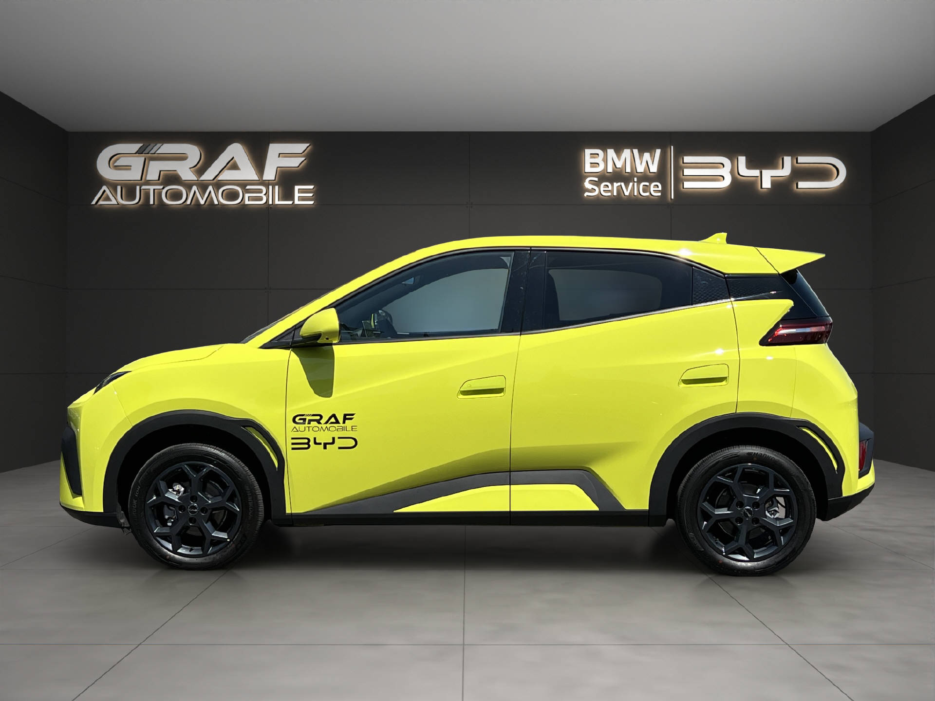BYD Dolphin Surf Comfort-image-19