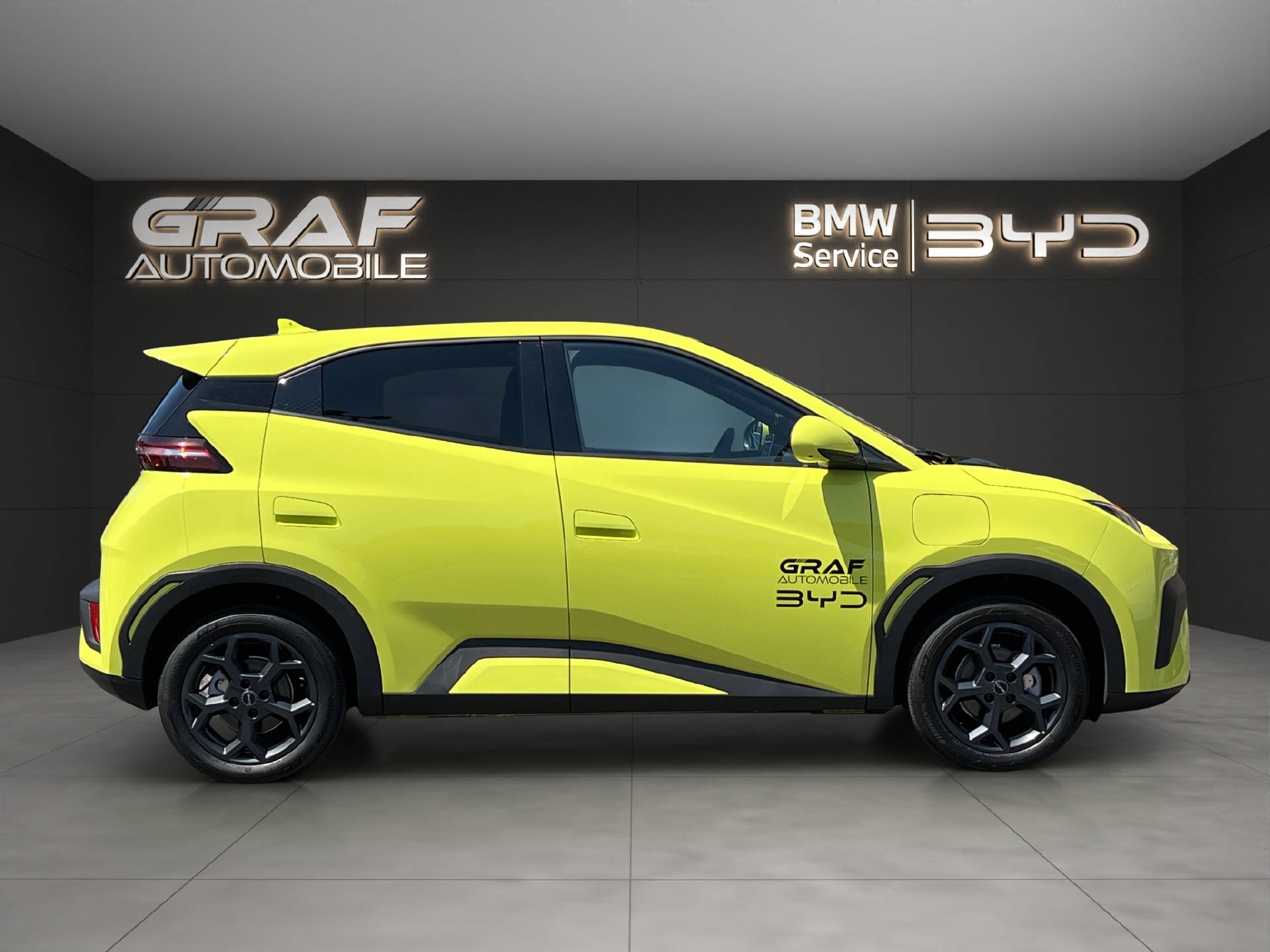 BYD Dolphin Surf Comfort-showroom-element-3