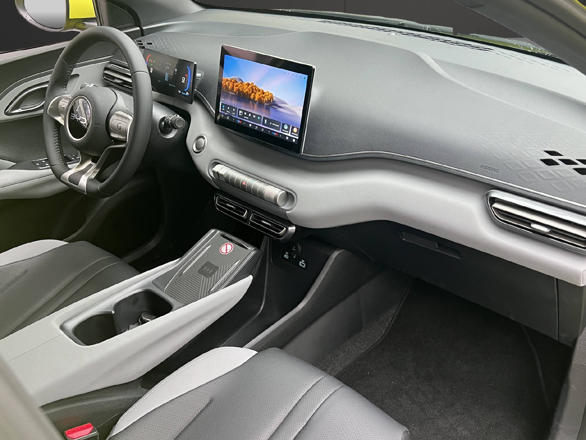 BYD Dolphin Surf Comfort-image-10
