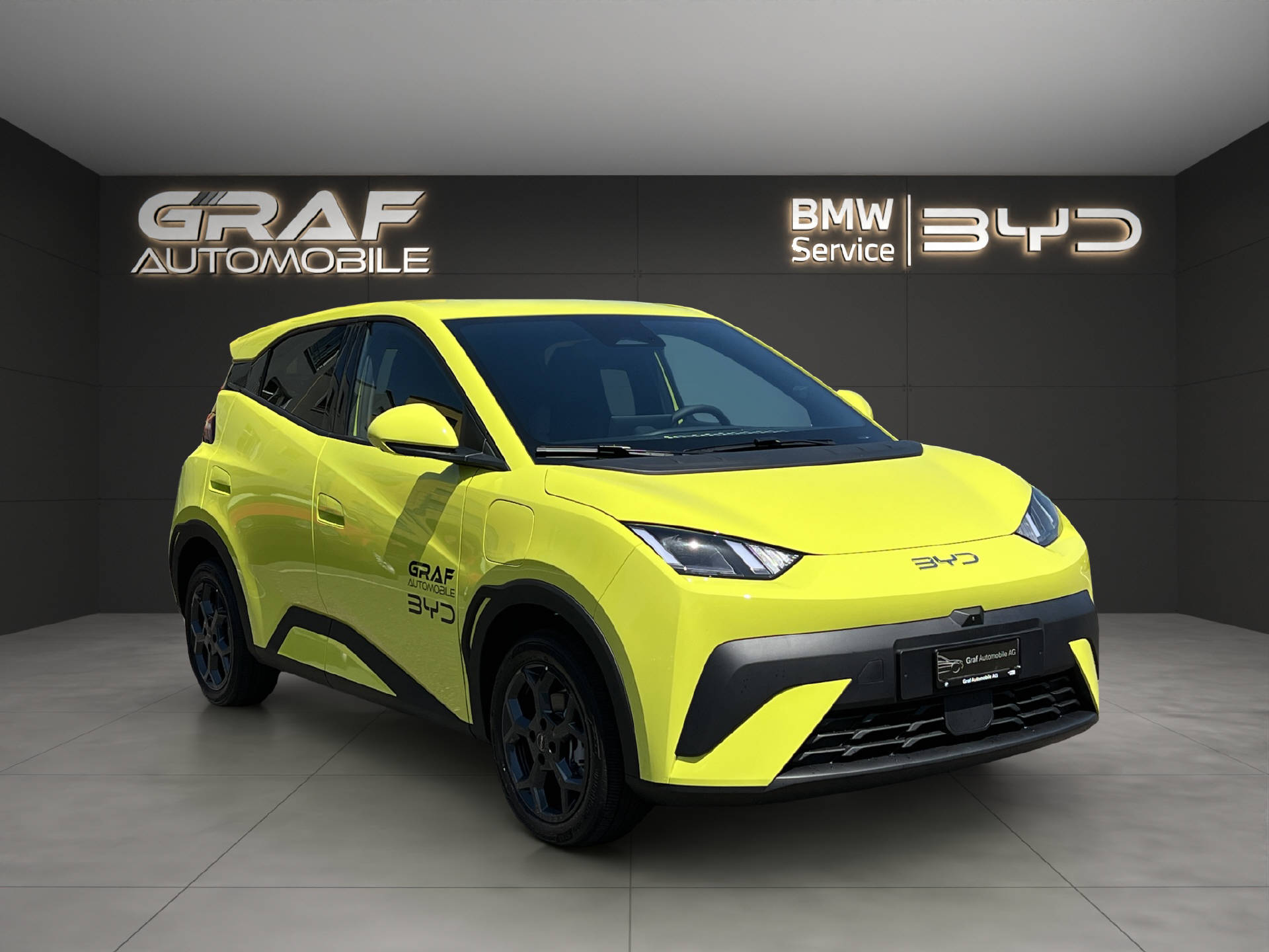BYD Dolphin Surf Comfort-showroom-element-2