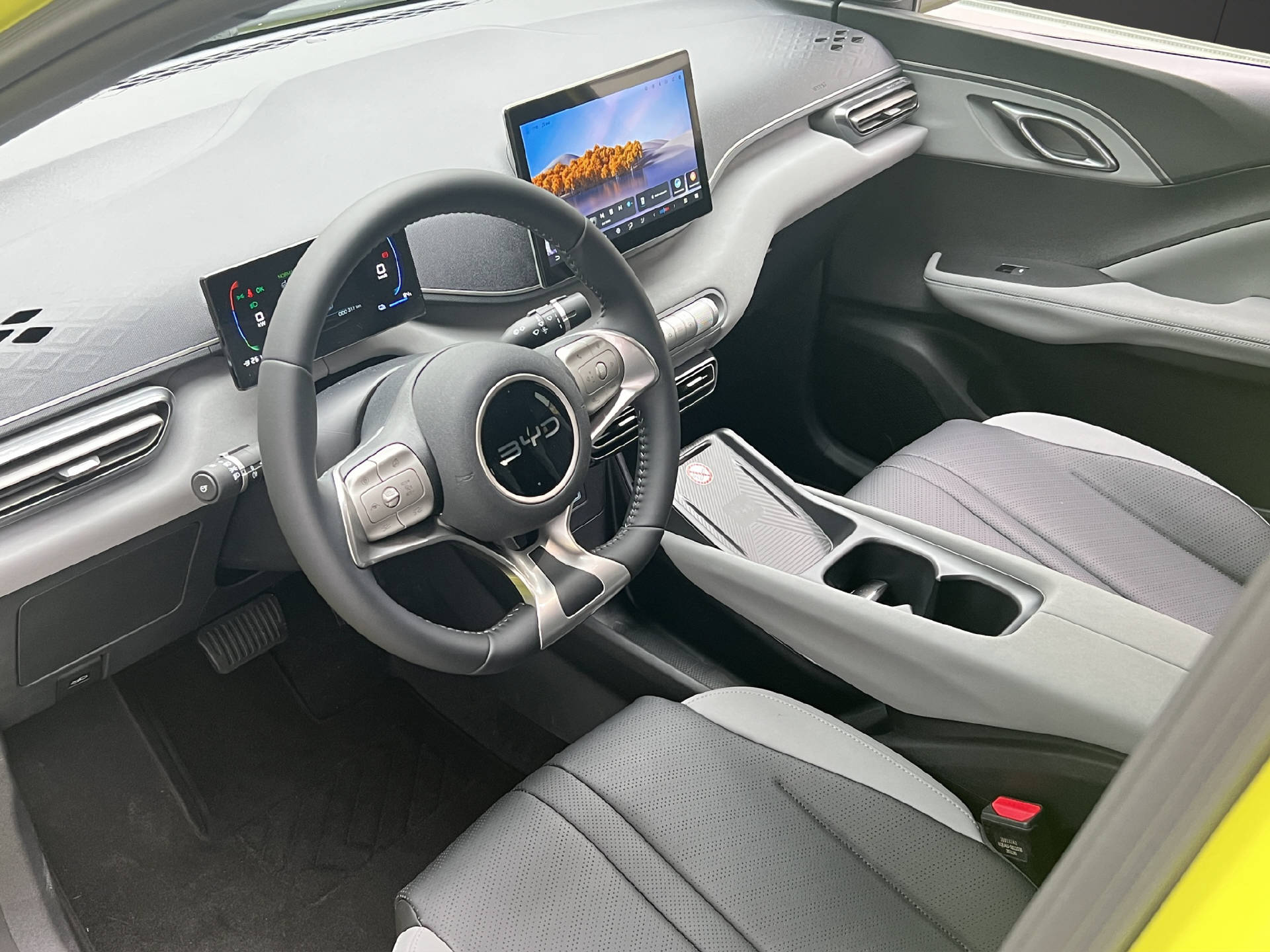 BYD Dolphin Surf Comfort-image-7