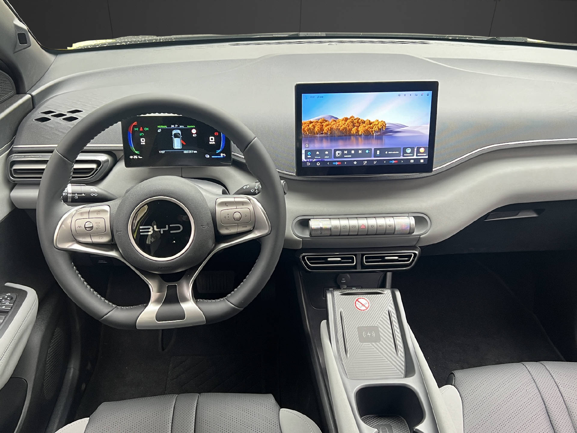 BYD Dolphin Surf Comfort-image-13