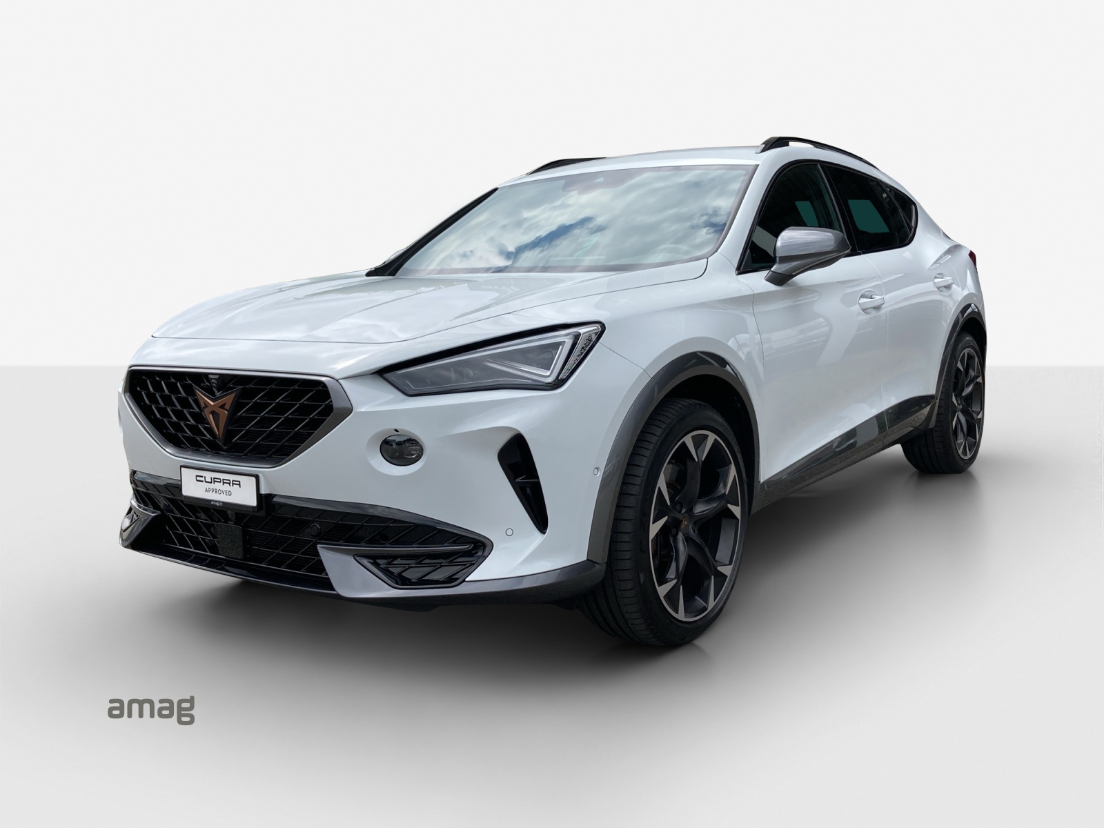 CUPRA Formentor 2.0TSI Tribe Edition 4Drive DSG-image-0
