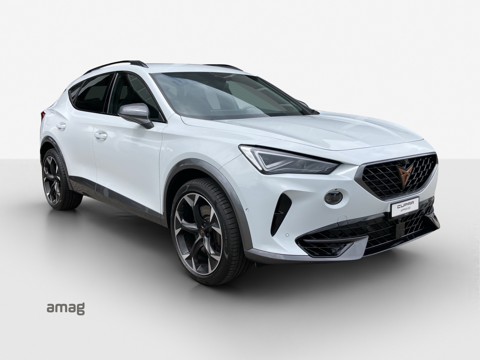 CUPRA Formentor 2.0TSI Tribe Edition 4Drive DSG-image-5